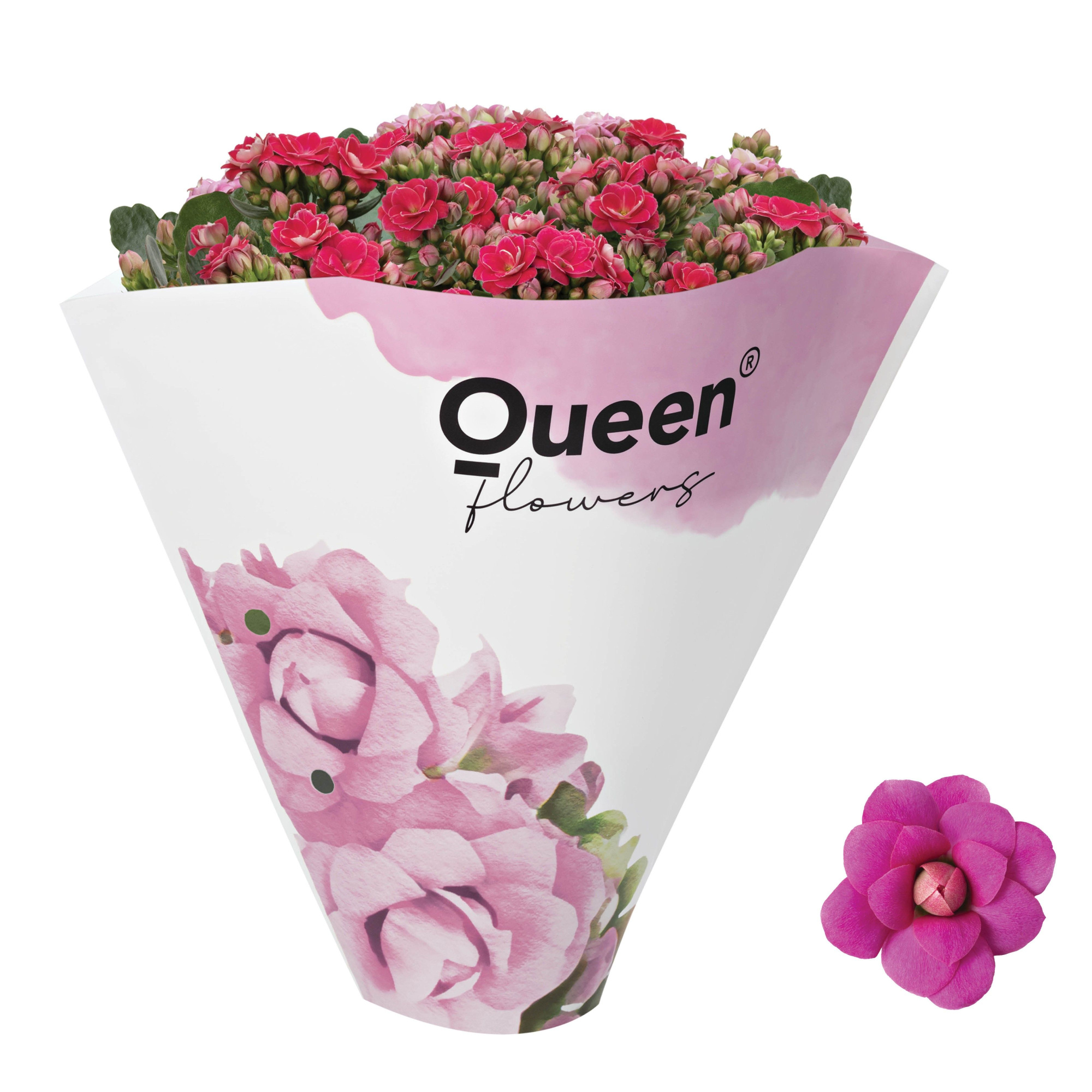 Queen® RoseFlowers 13 cm 3 p.p. Pink, D 13