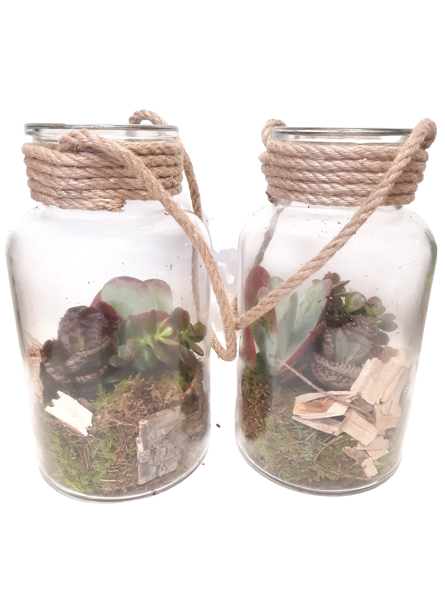 714 AUT Fles / Terrarium 14/26 mini Succulentmix, D 14 cm