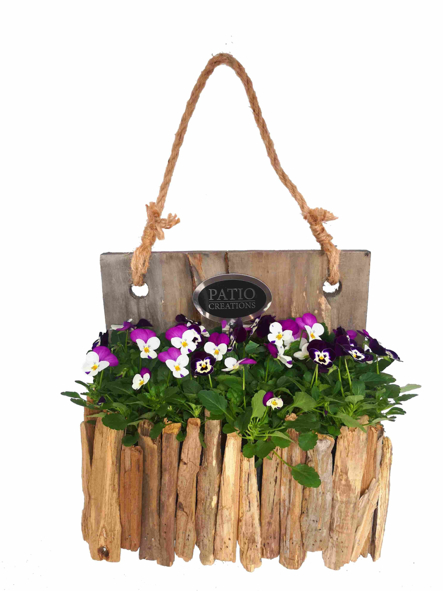 PRN707-9003 Primula Narcis wandhanger drijfhout M, D 32