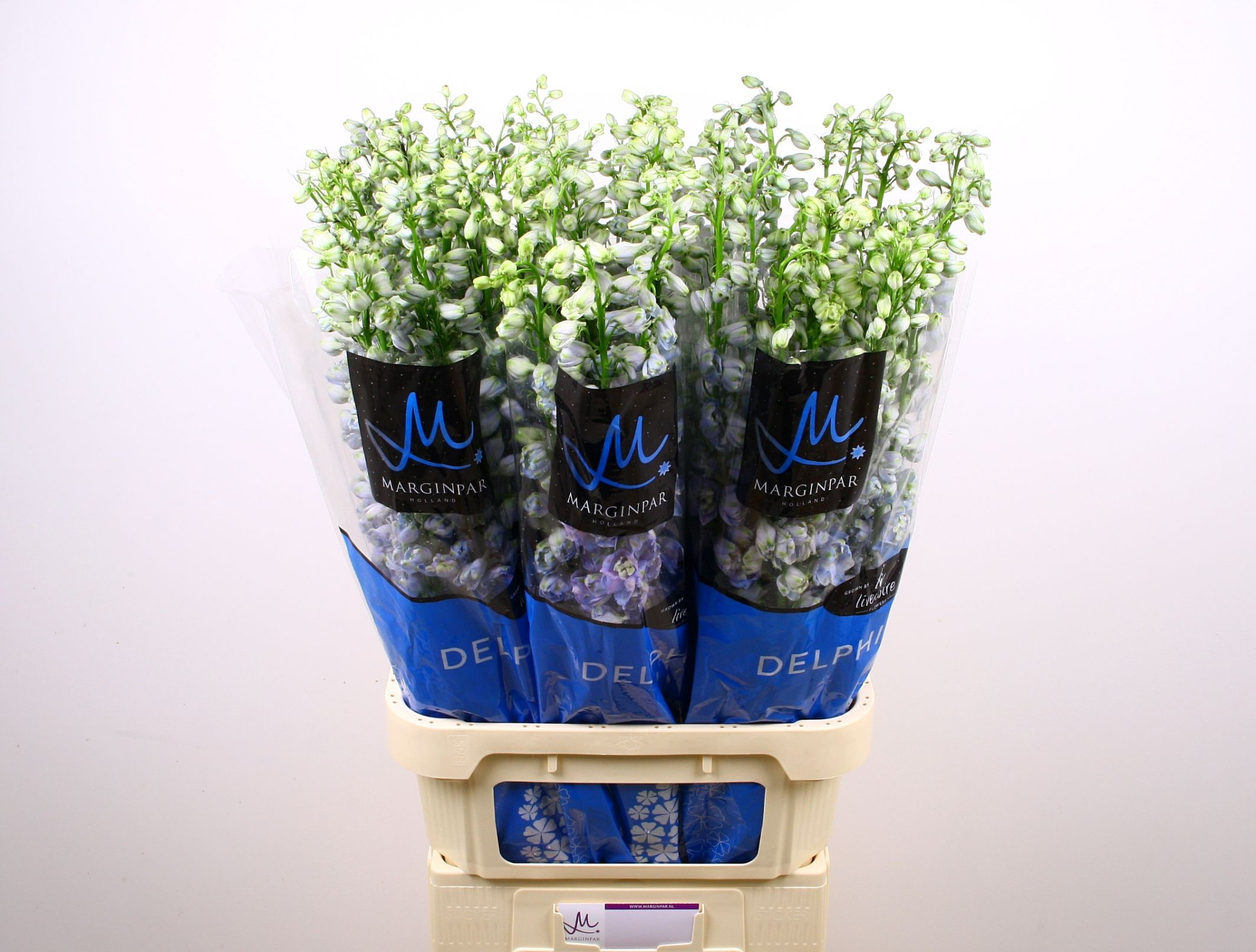 Дельфиниум дв. Гардиан Лавандер 100, шт.