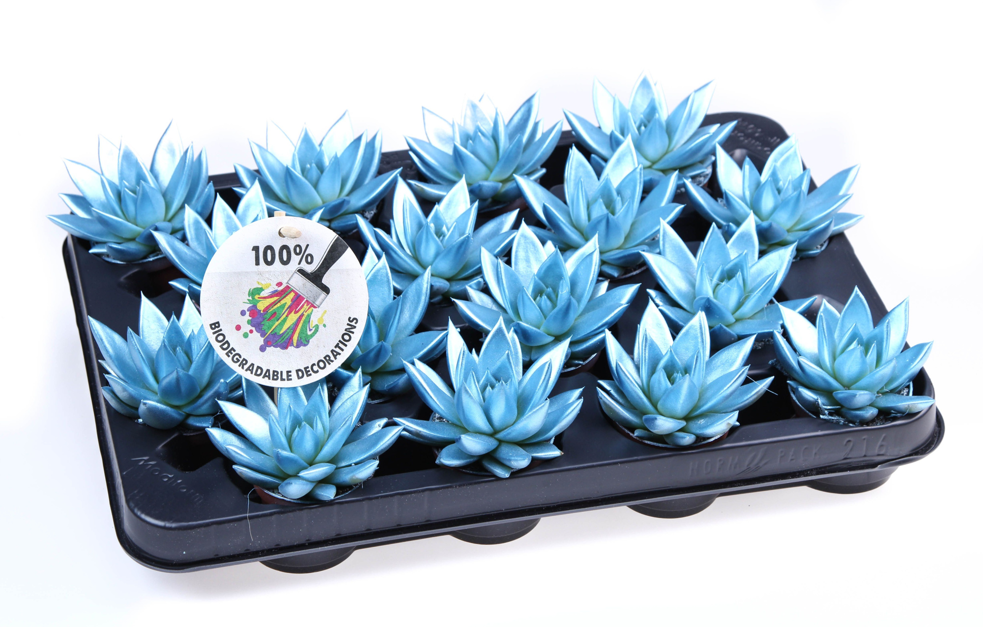 Rainbow metallic blue, D 6,5