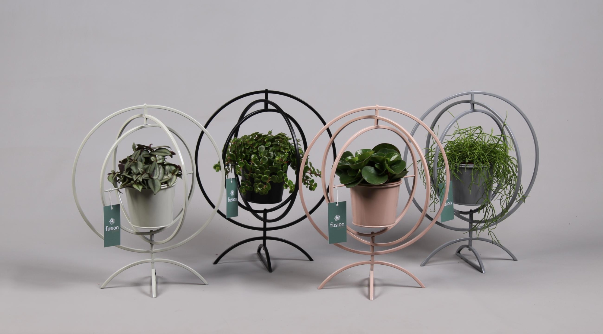 Globe metaal 4 kleuren Large met Groene Planten, D 30