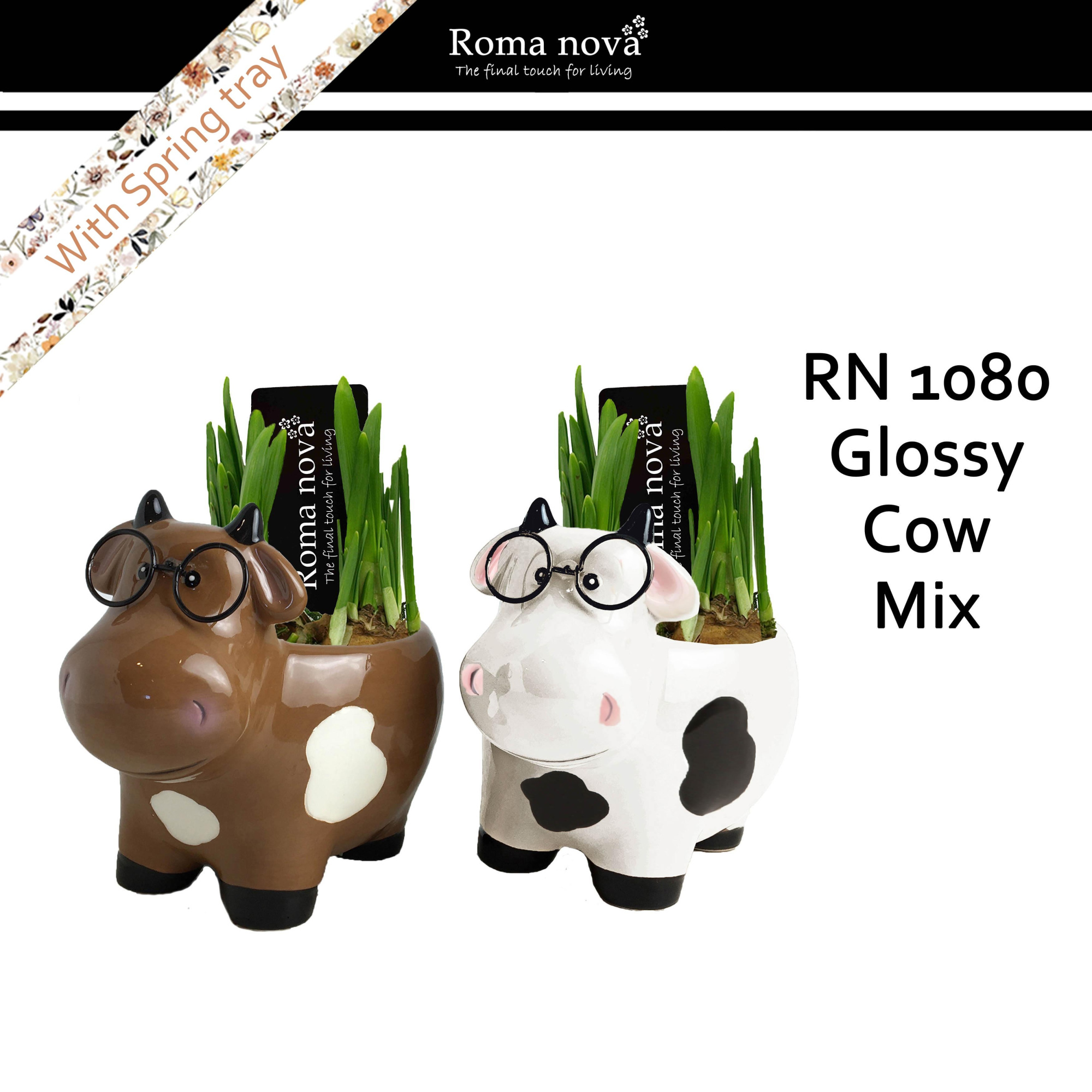 1080 - Glossy Cow mix (Tete a Tete), D 17 cm