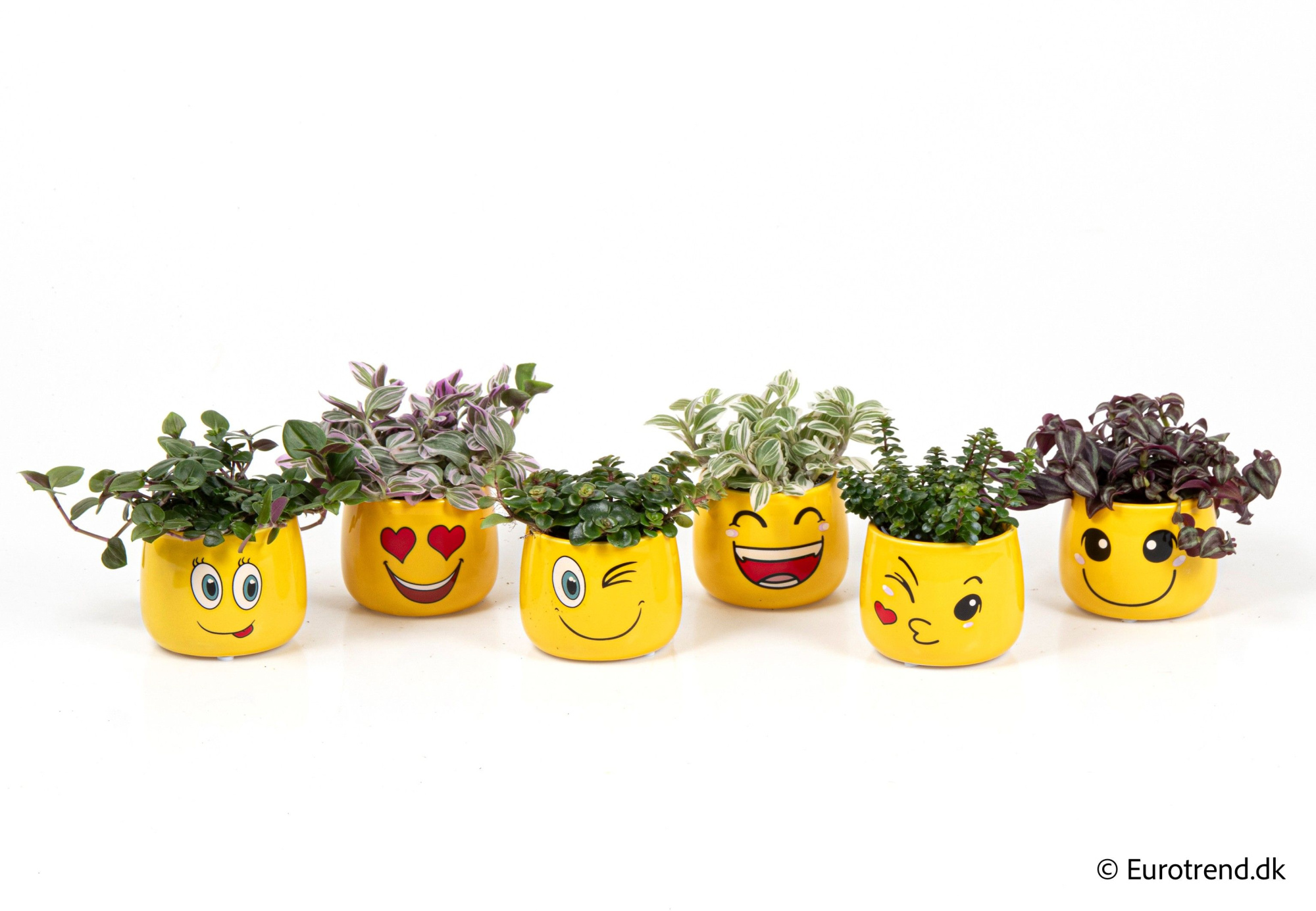 Green mix in smiley ceramic - Spring, Summer & Autumn 2025, D 6 cm