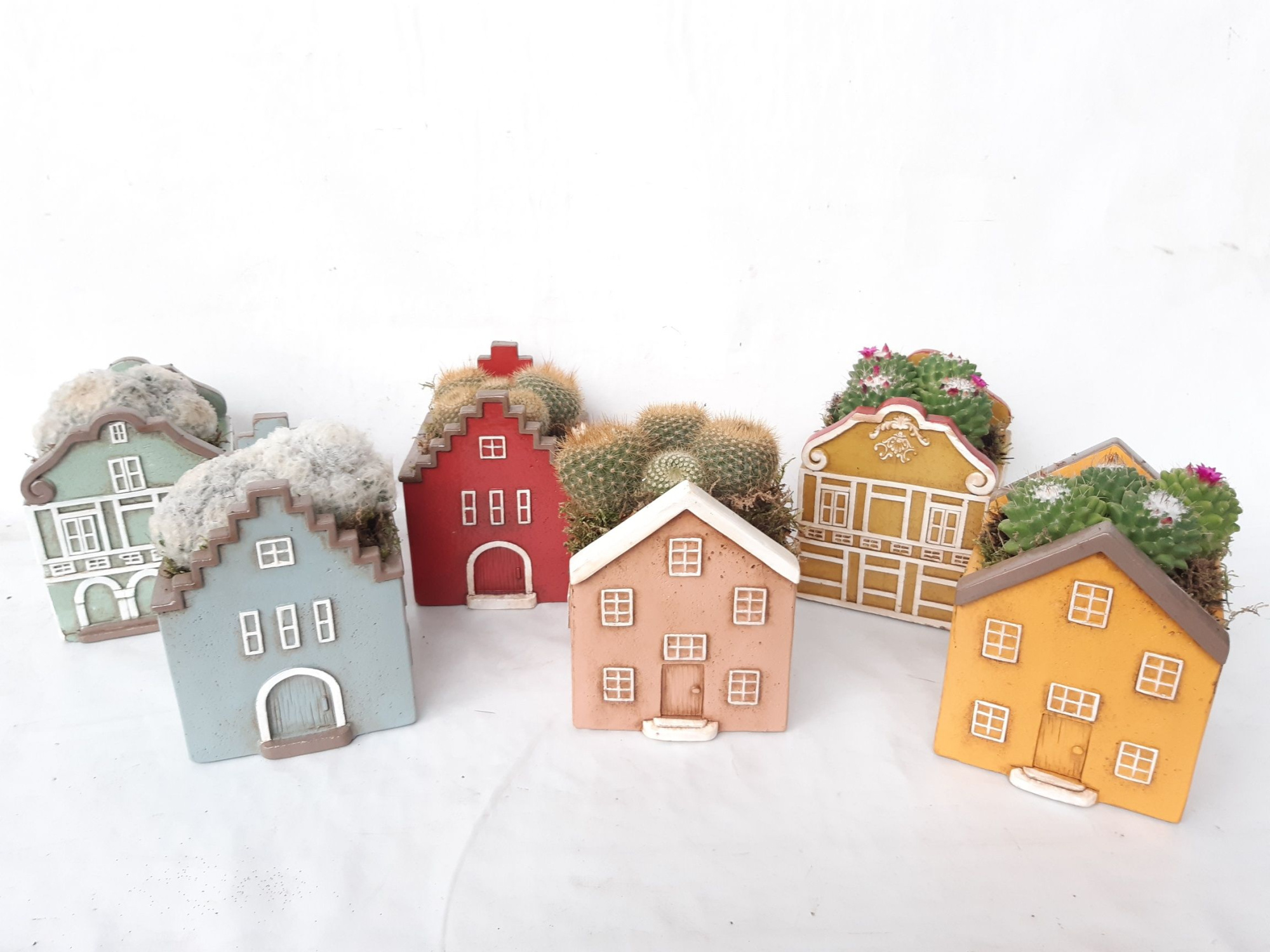 CASA S11CTS Casa Scandinavian Cactusmix, D 11 cm