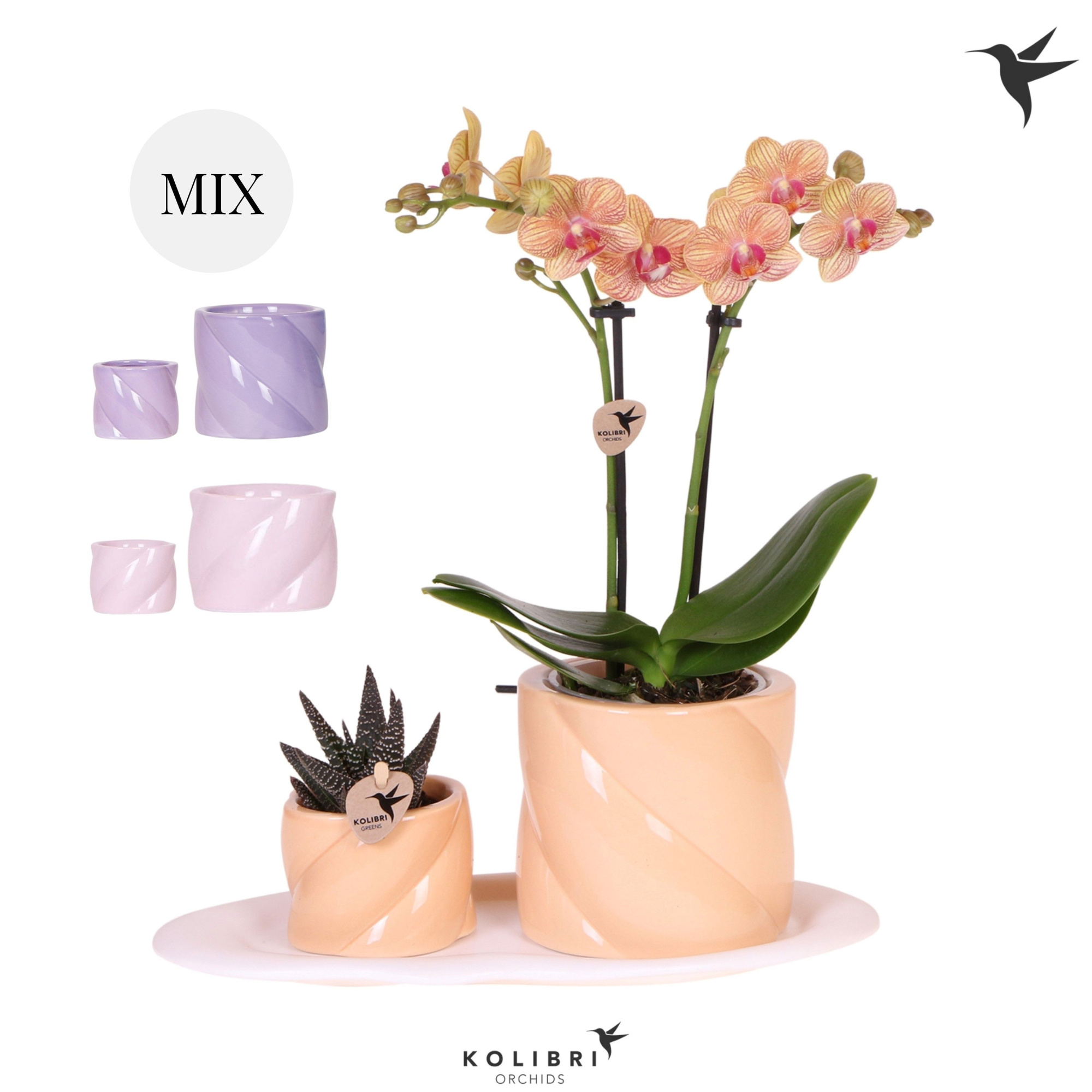 Kolibri Gift Set small Optimism low mix, D 18