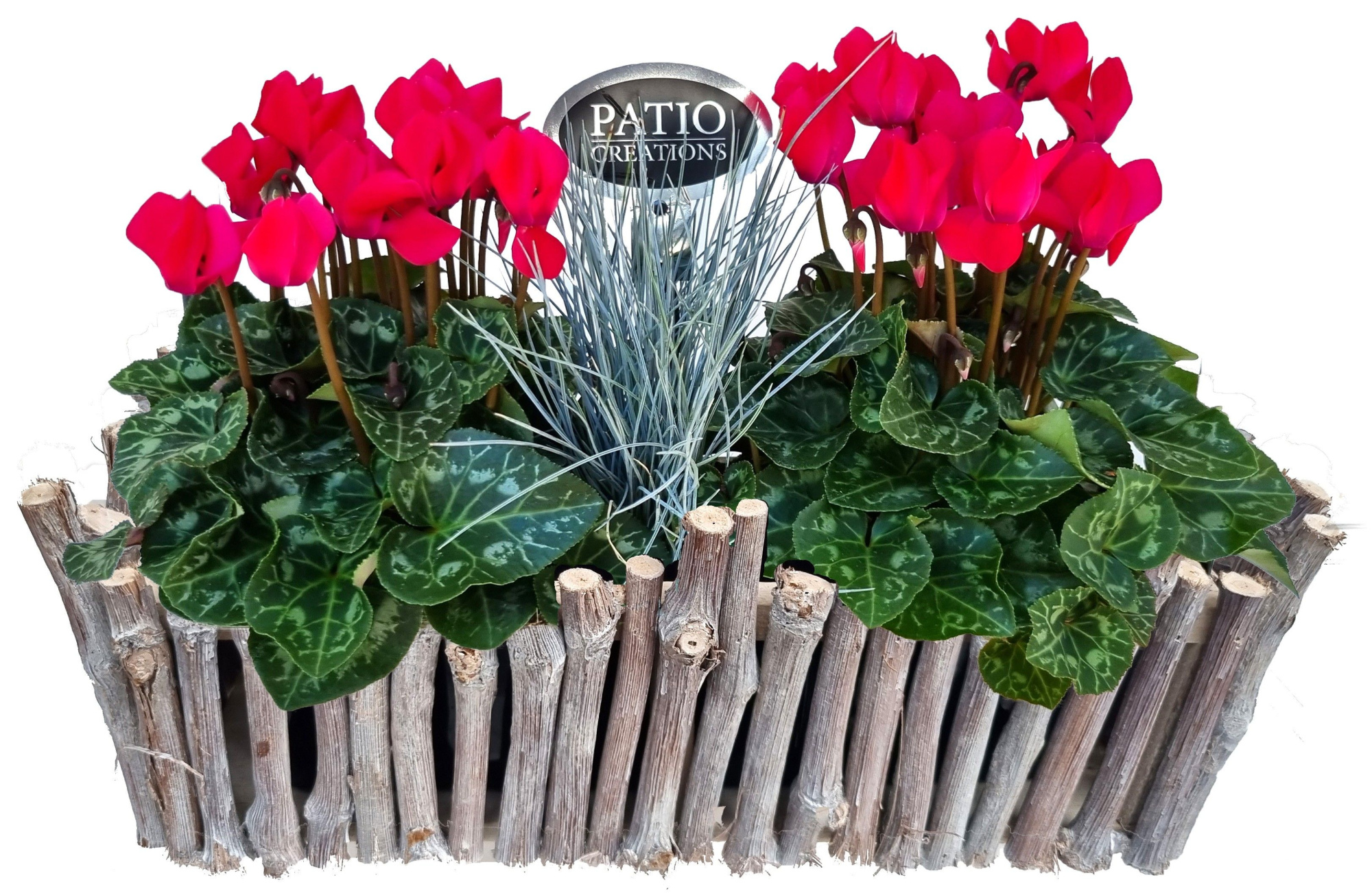 CYF784-9003 Cyclaam/Festuca druivenhout M, D 33 cm