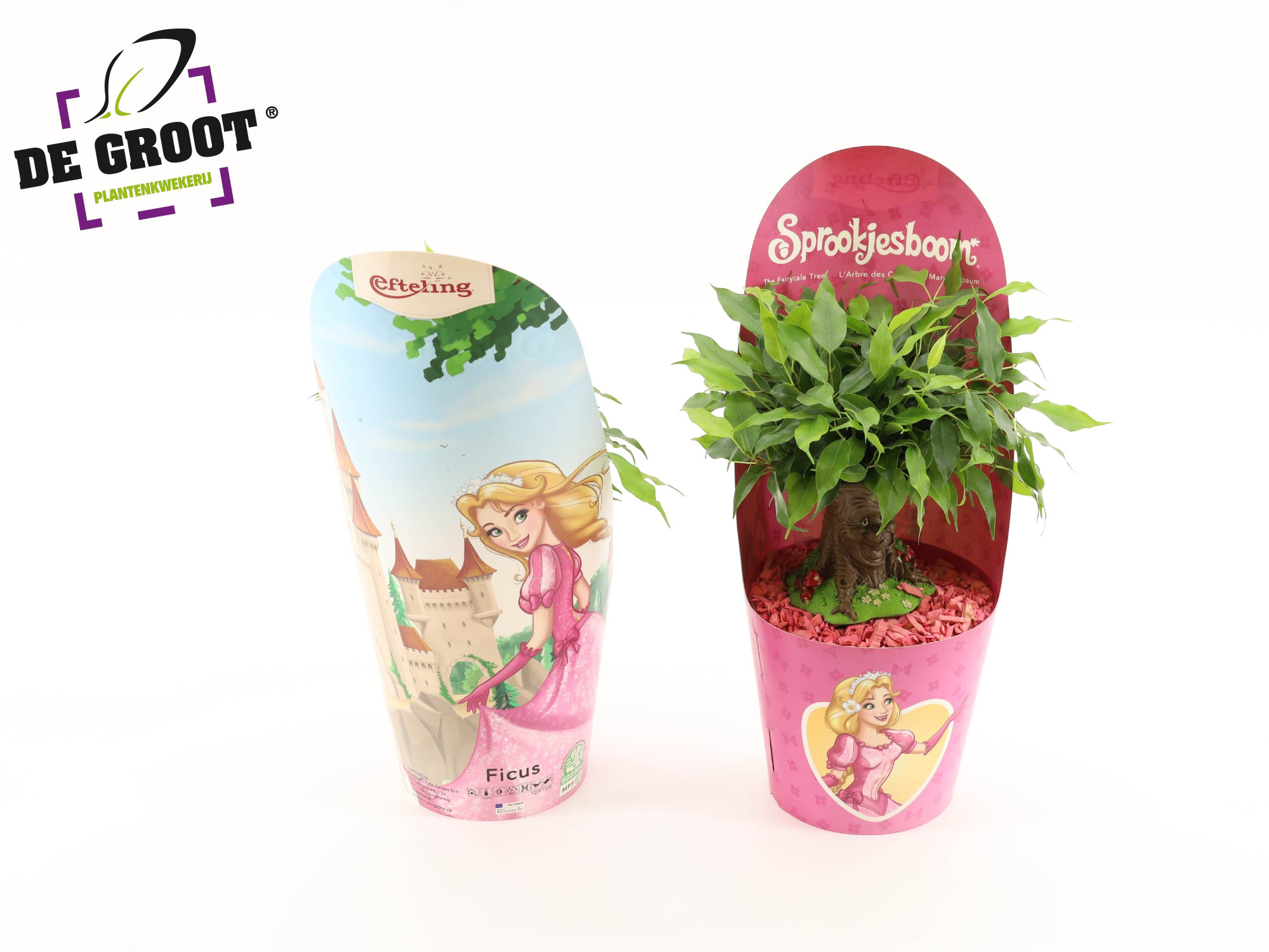 Sprookjesboom Assepoester NL, D 14 cm