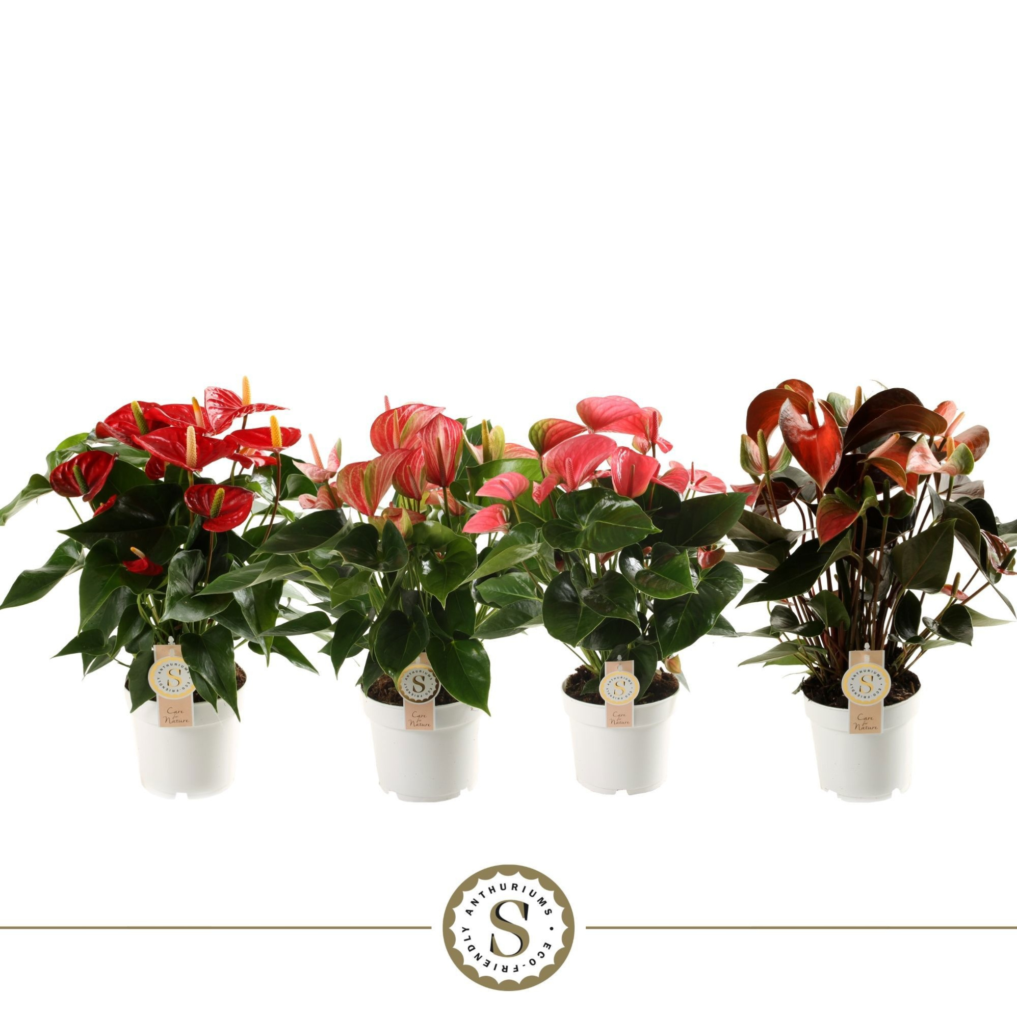 Top Mix 14cm, D 14 cm