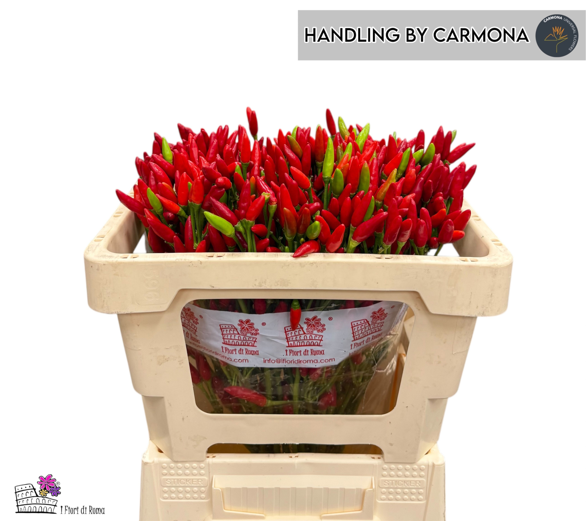 Капсикум Рэд Фае 50, шт.