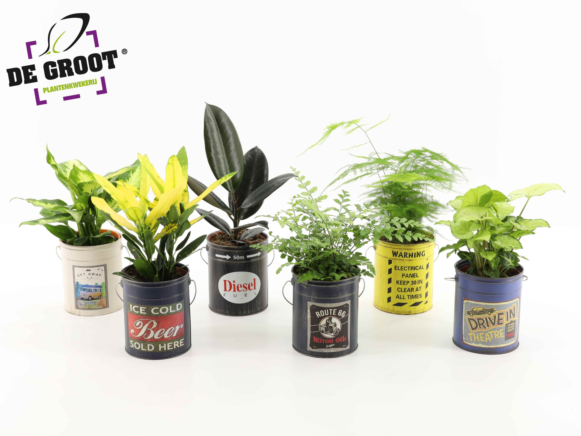 Groenmix in blik met hengsel, D 12 cm