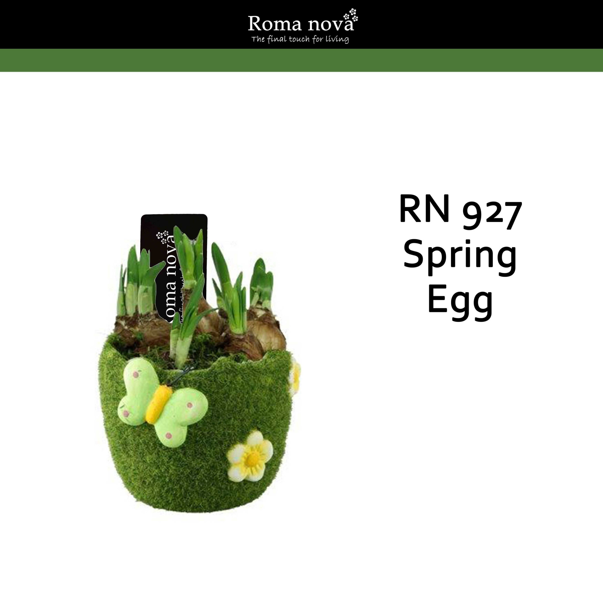 927 - Spring Egg (Tete a Tete), D 13