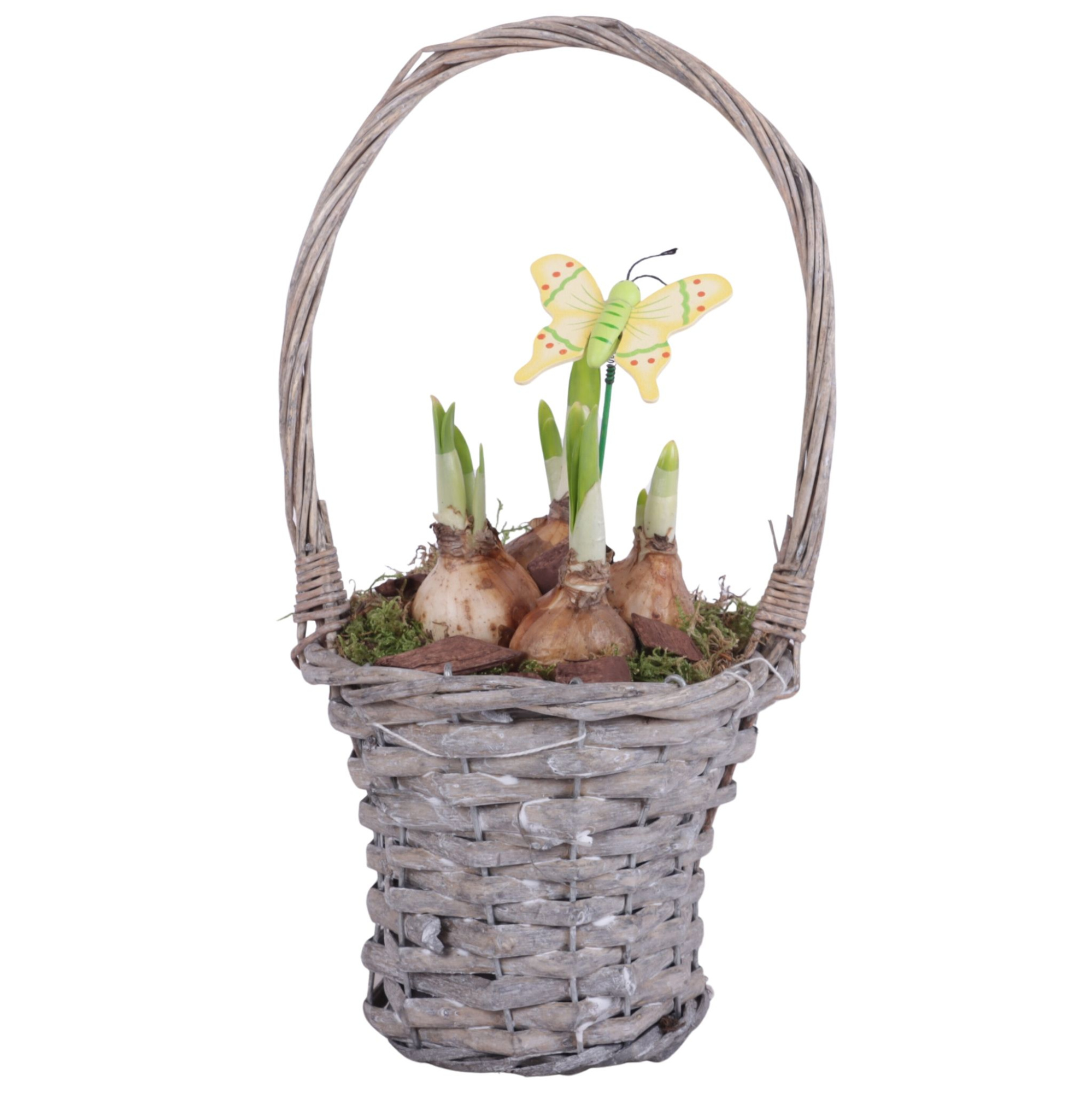 Bulbs Arr. Narcis Willow Handle Basket Grey Ø15cm, D 15