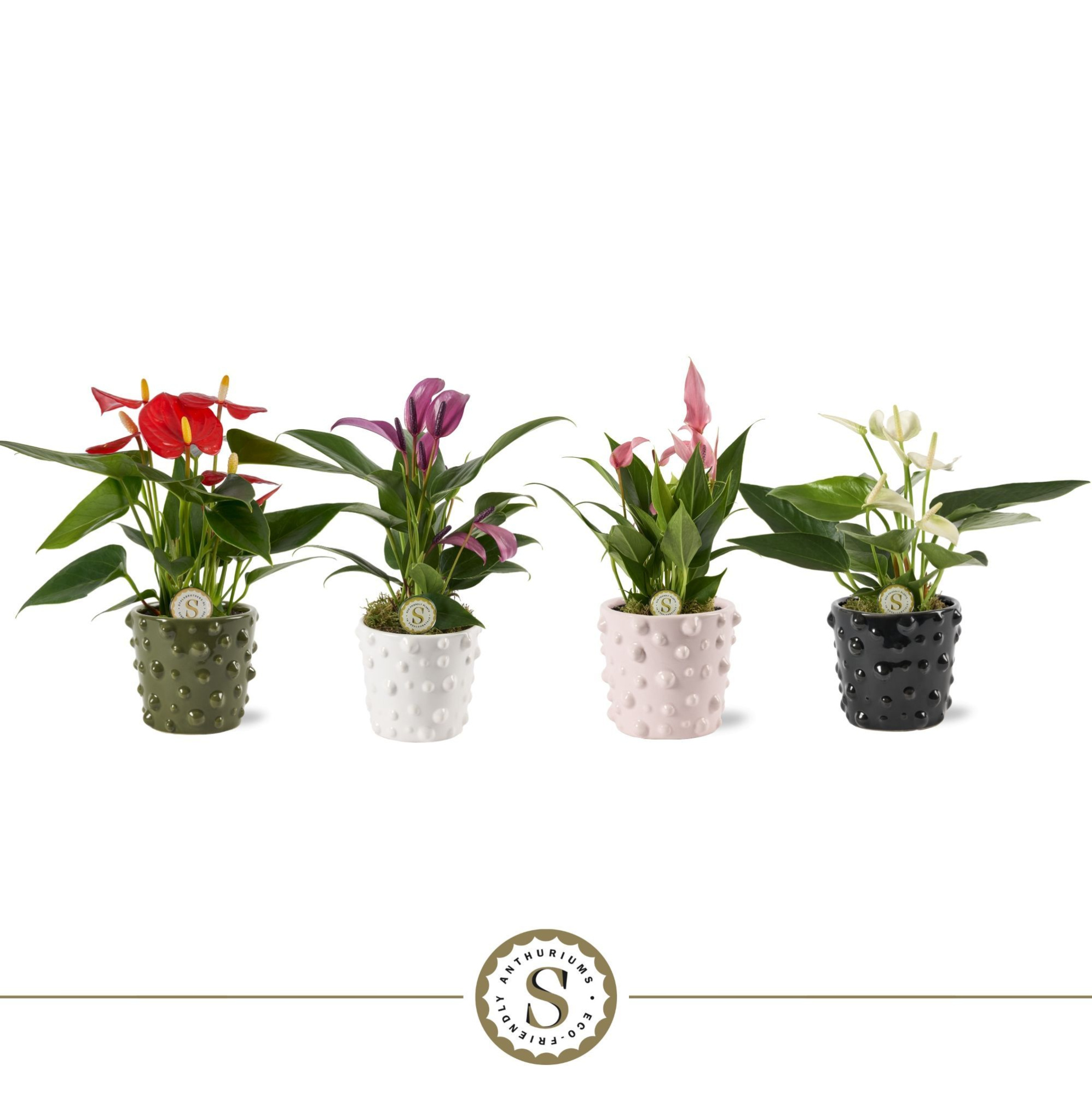 Puglia Keramiek - Mix, D 7 cm