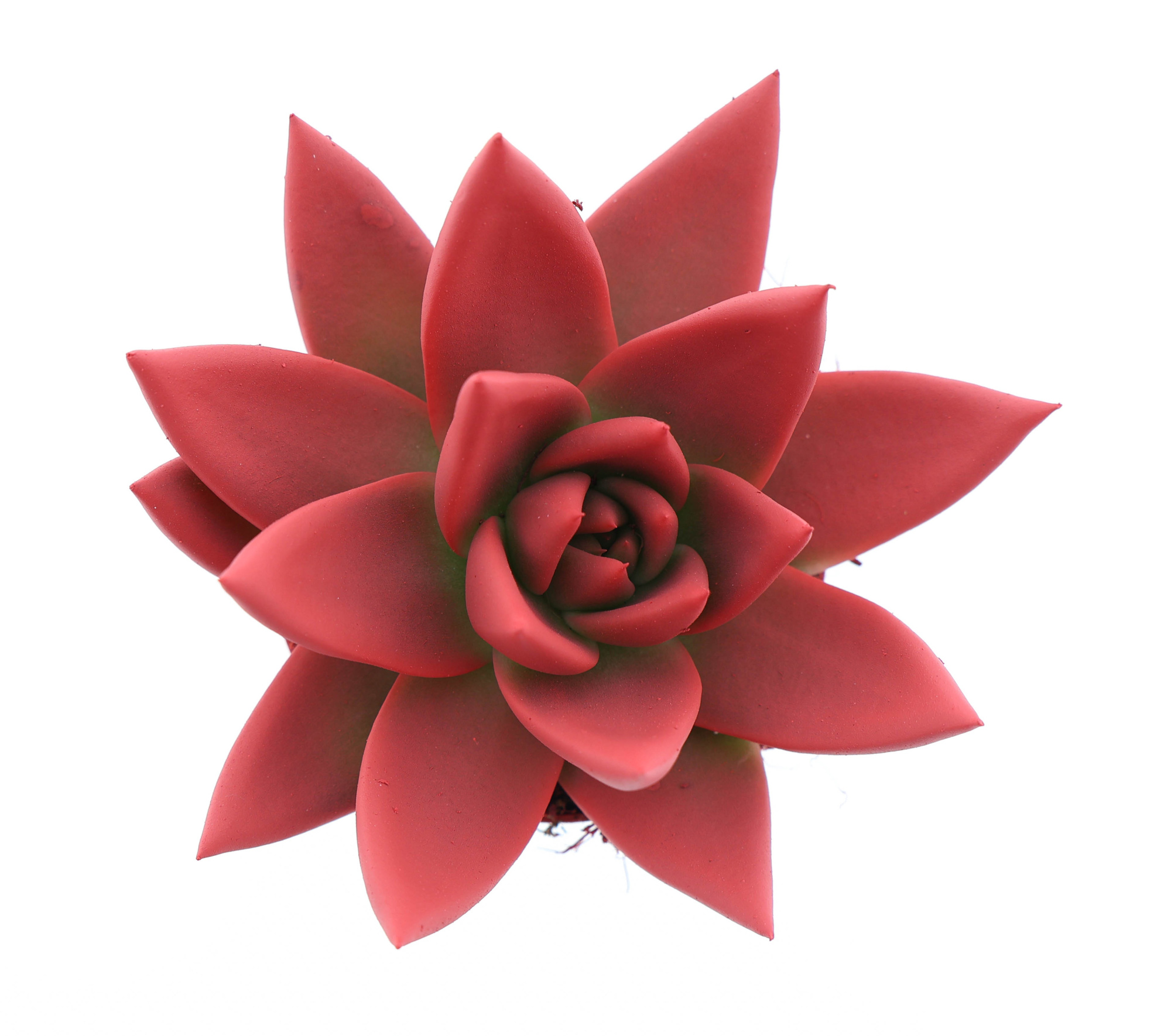 Rainbow bright red, D 6 cm