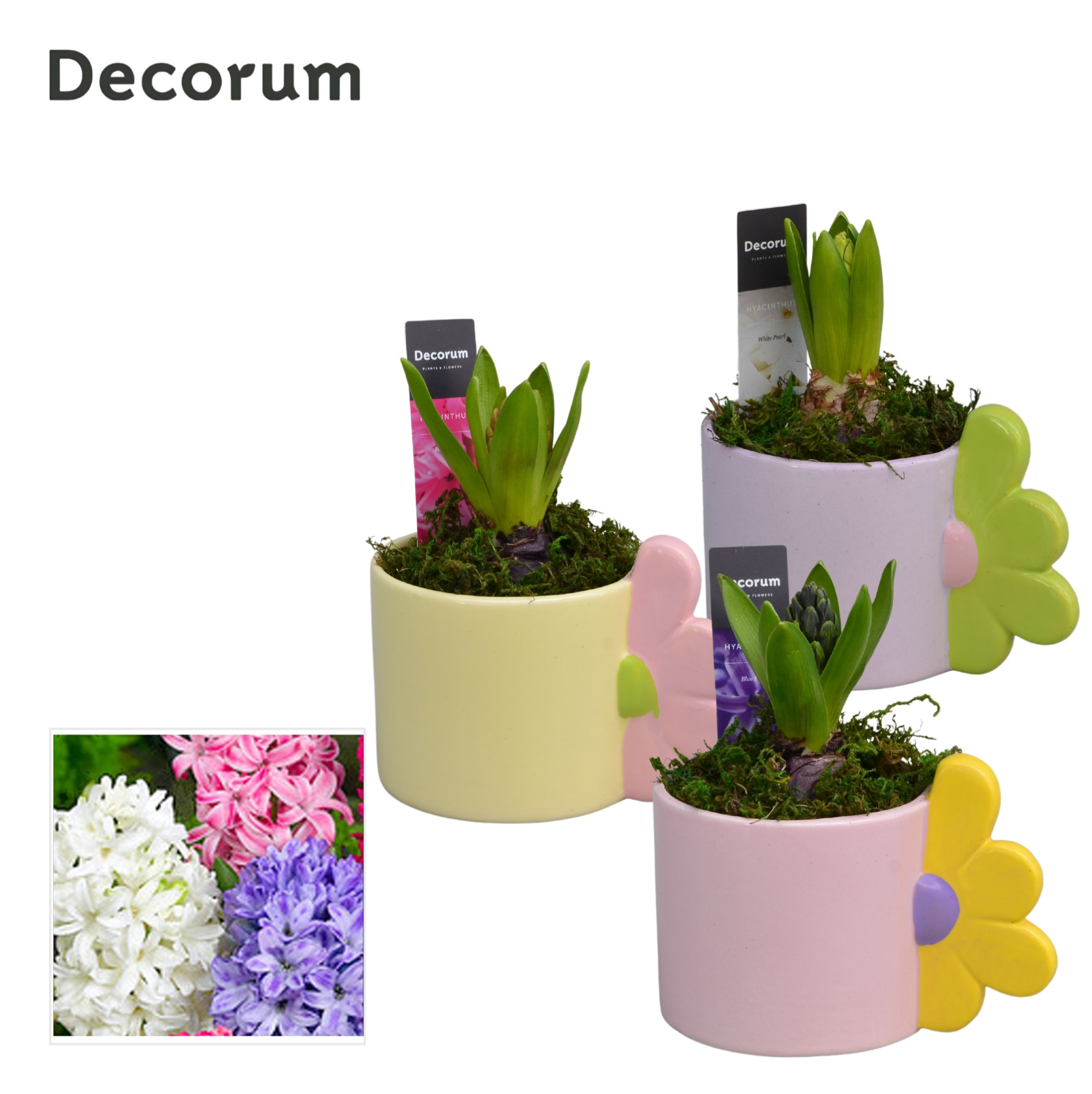 Hyacint Bloomie Mug HL15413 [LOVELY COLORS], D 10