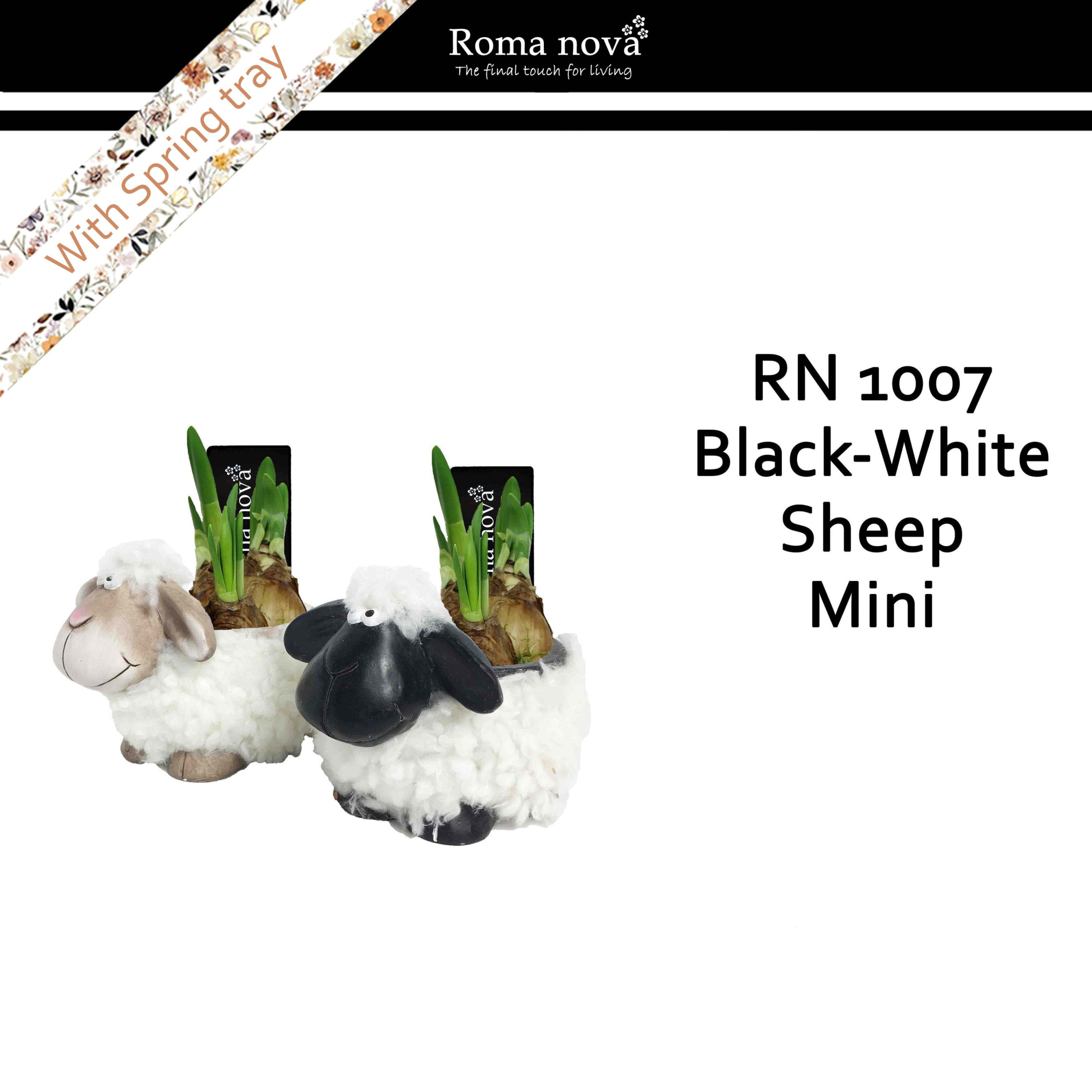 1007 - Black white sheep mini (Tete a Tete), D 12 cm