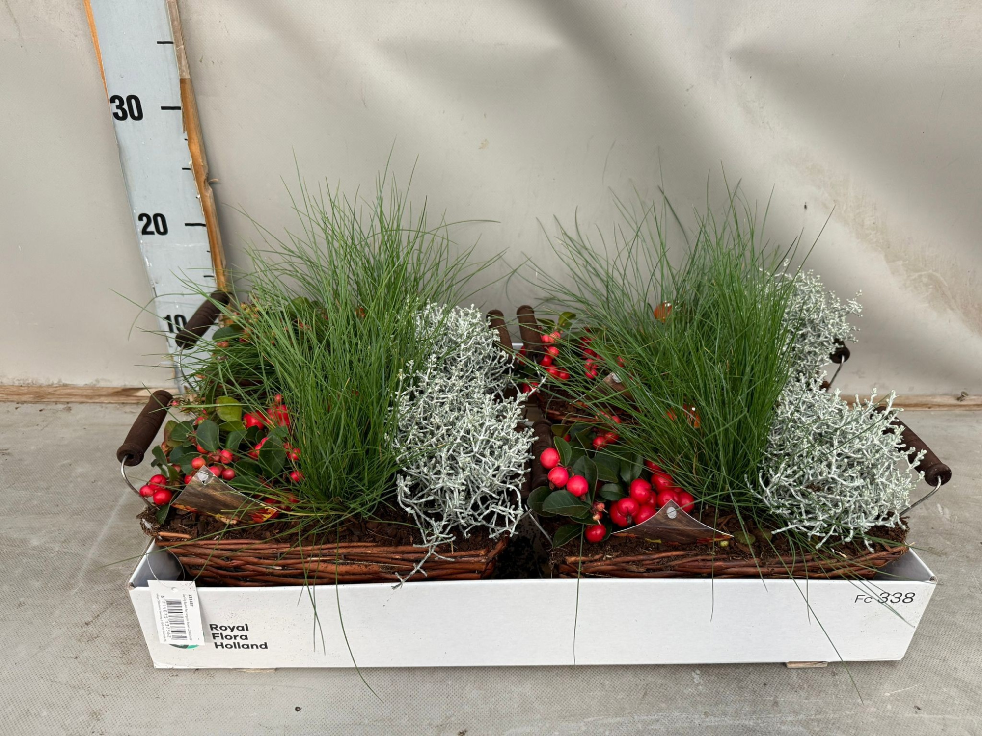 Herfst arrangement riet mandje, D 21 cm