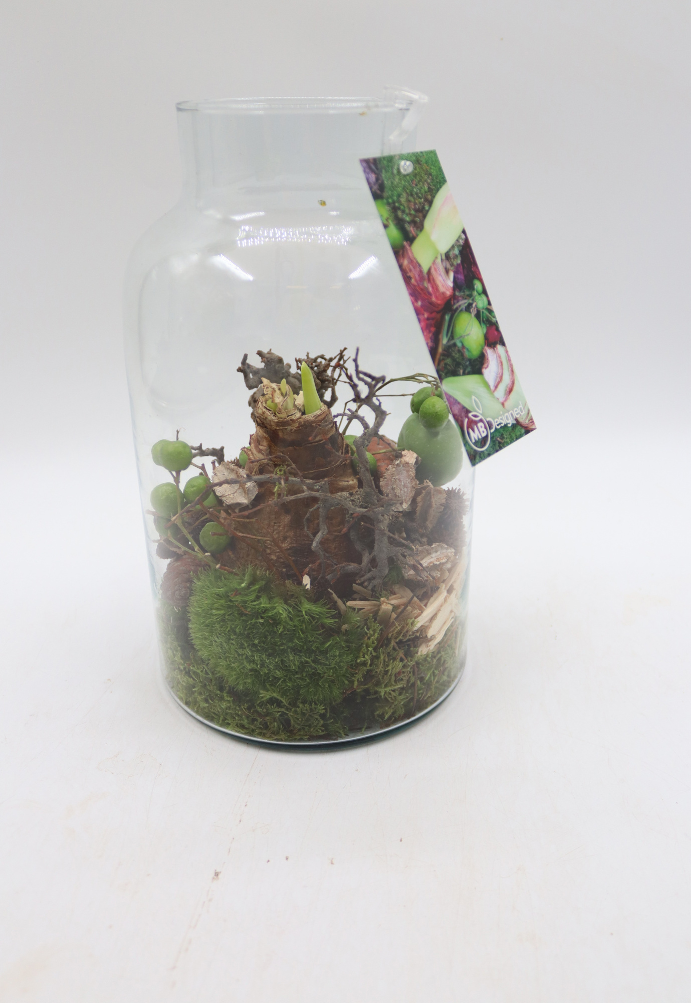 Amaryllis Diana Jar, D 15 cm