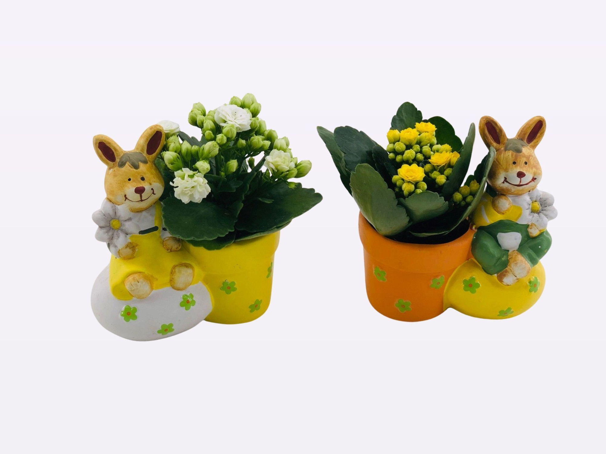 26P01 Mix zittend Konijn op Ei P6 cm, D 6