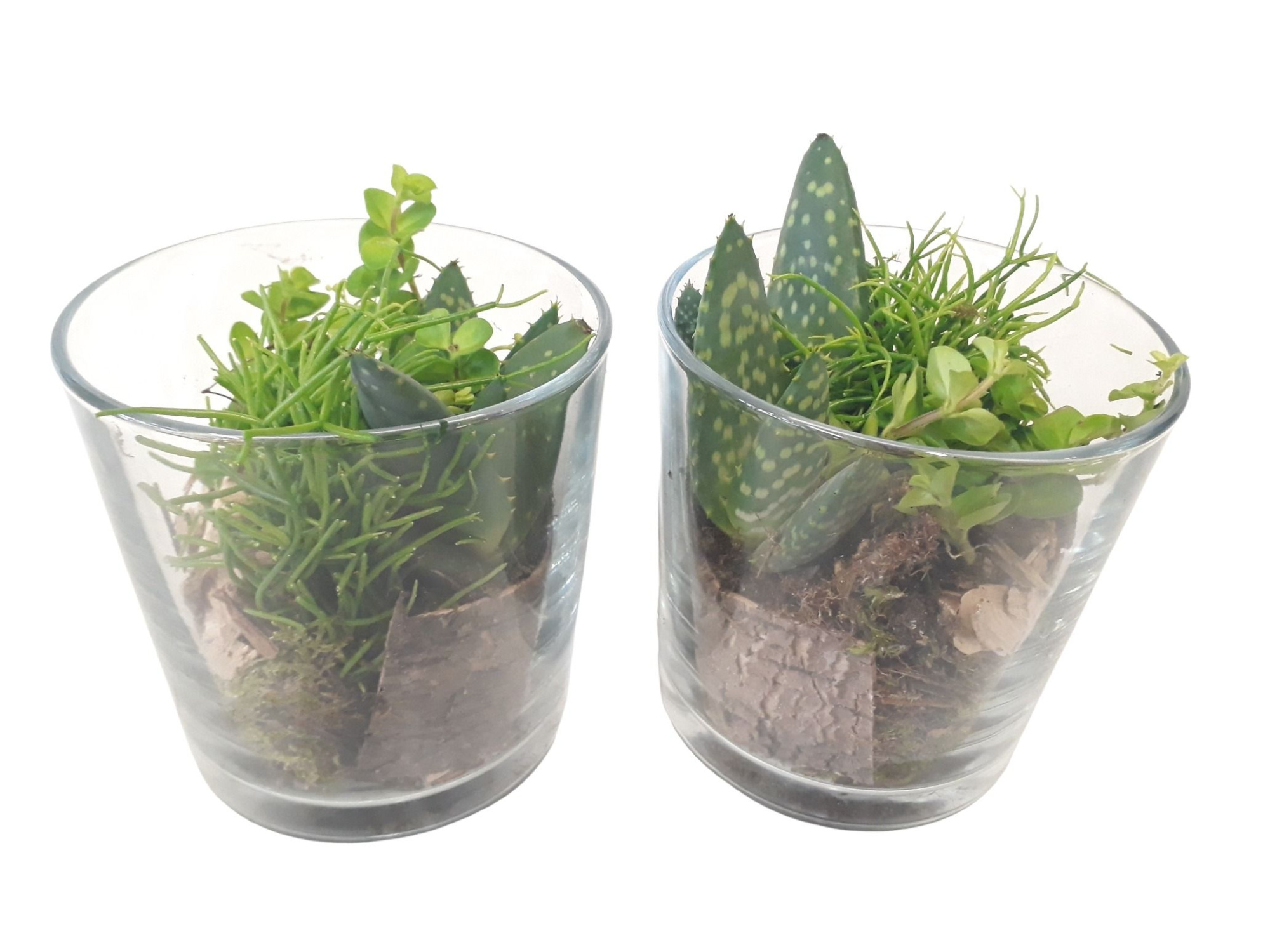 933 GMX Cil glas mini groenmix + houtdeco, D 13 cm