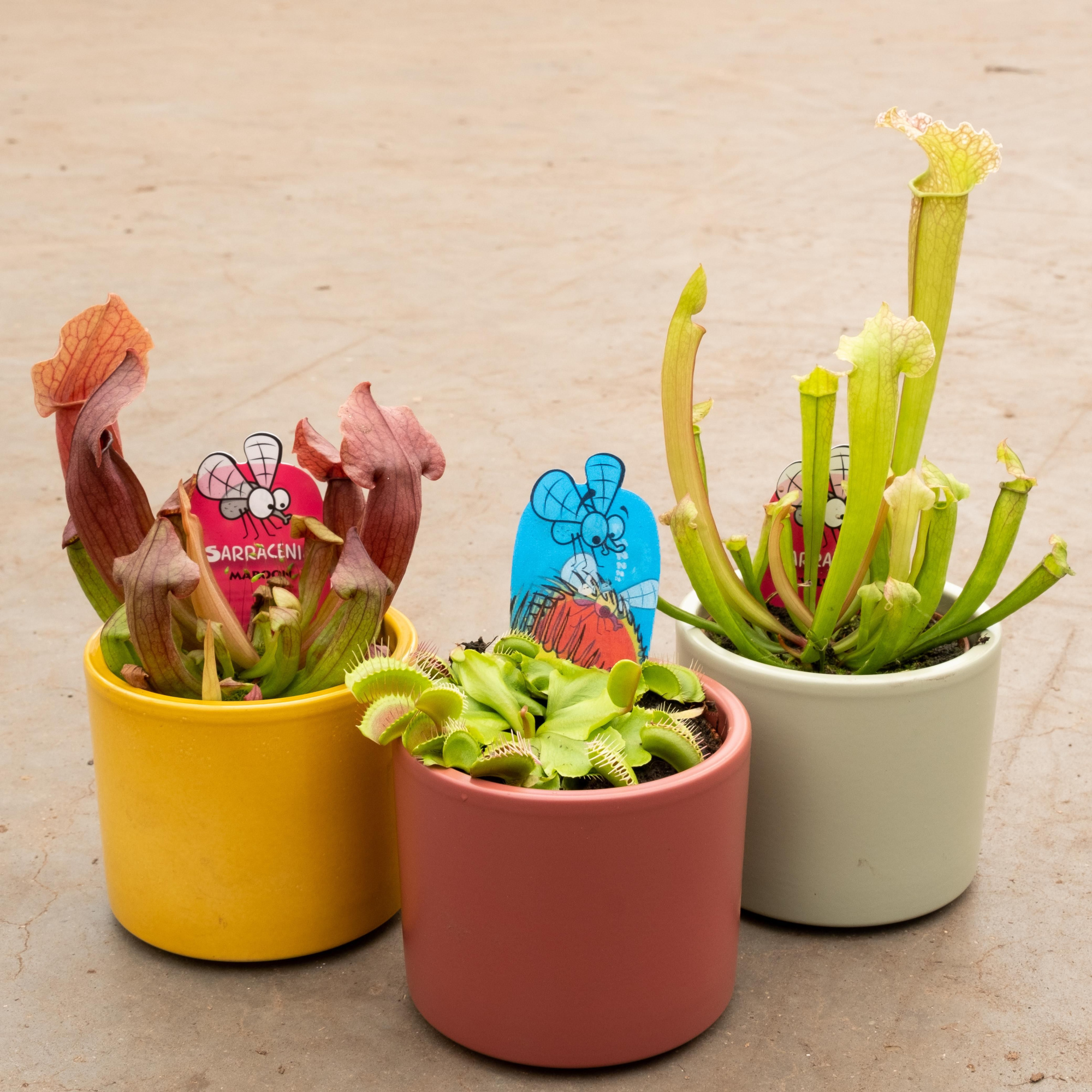 Vleesmix p9 in keramiek, D 8,5