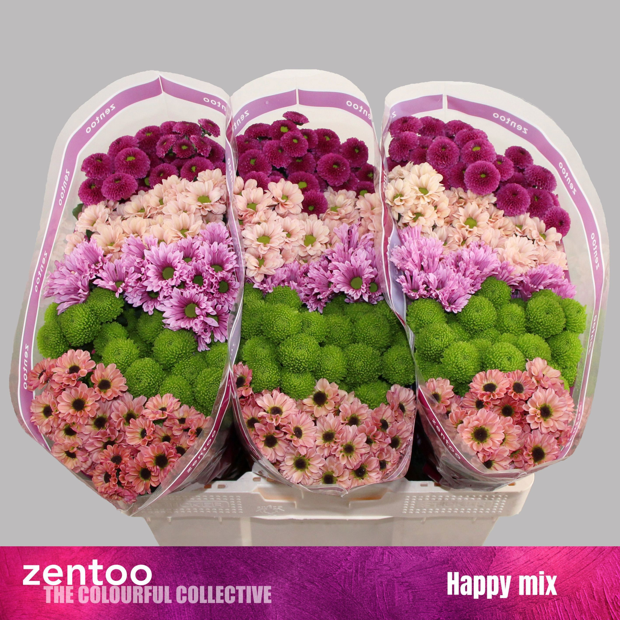 Сантини Микс, шт.