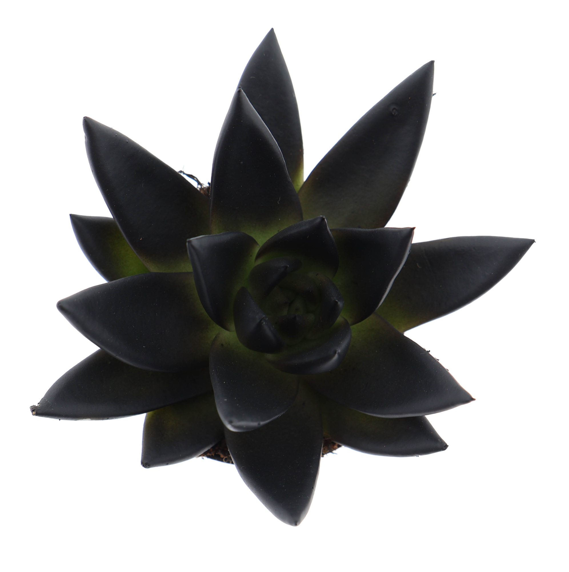 Rainbow deep black, D 6 cm