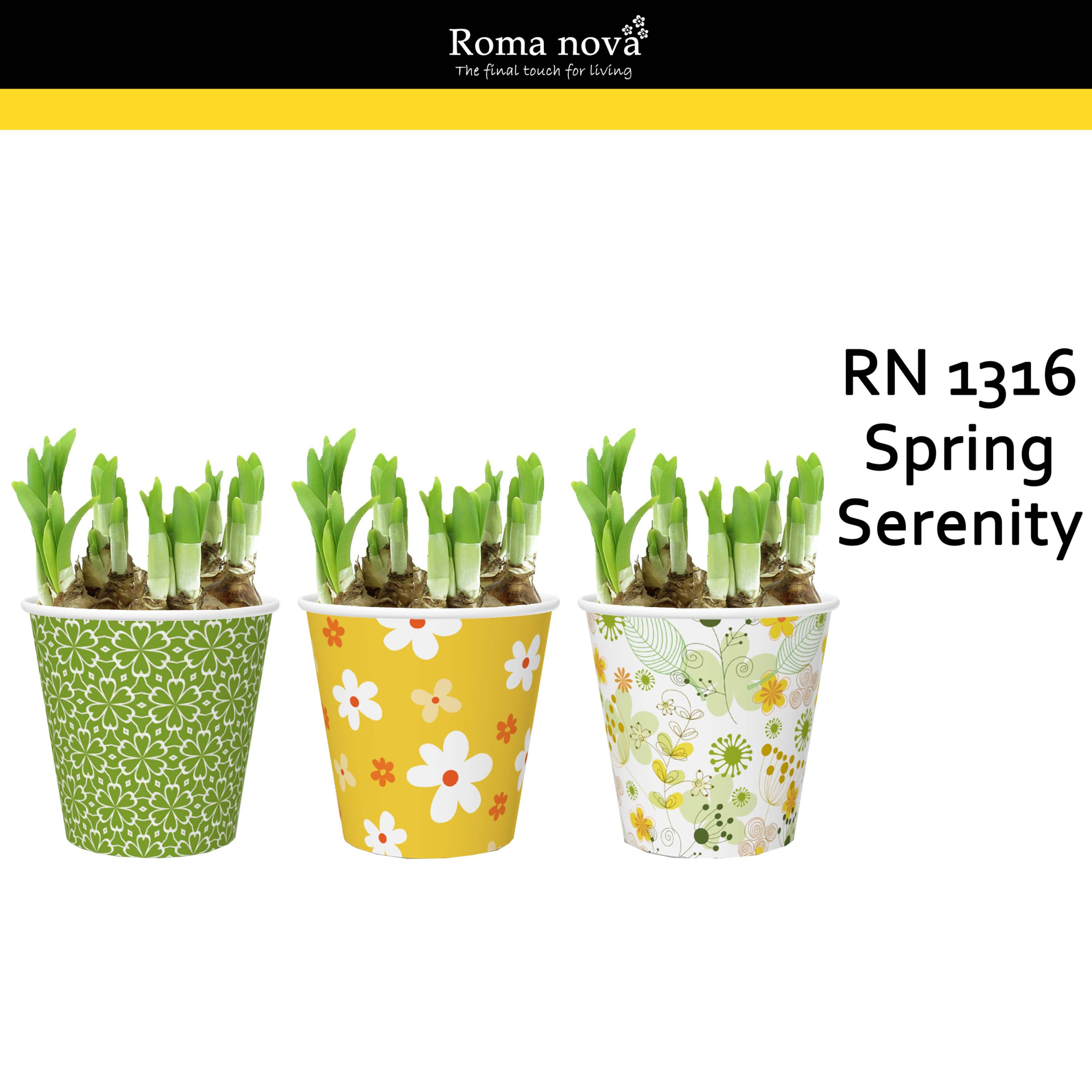 1316 - Spring Serenity (Tete a Tete), D 12