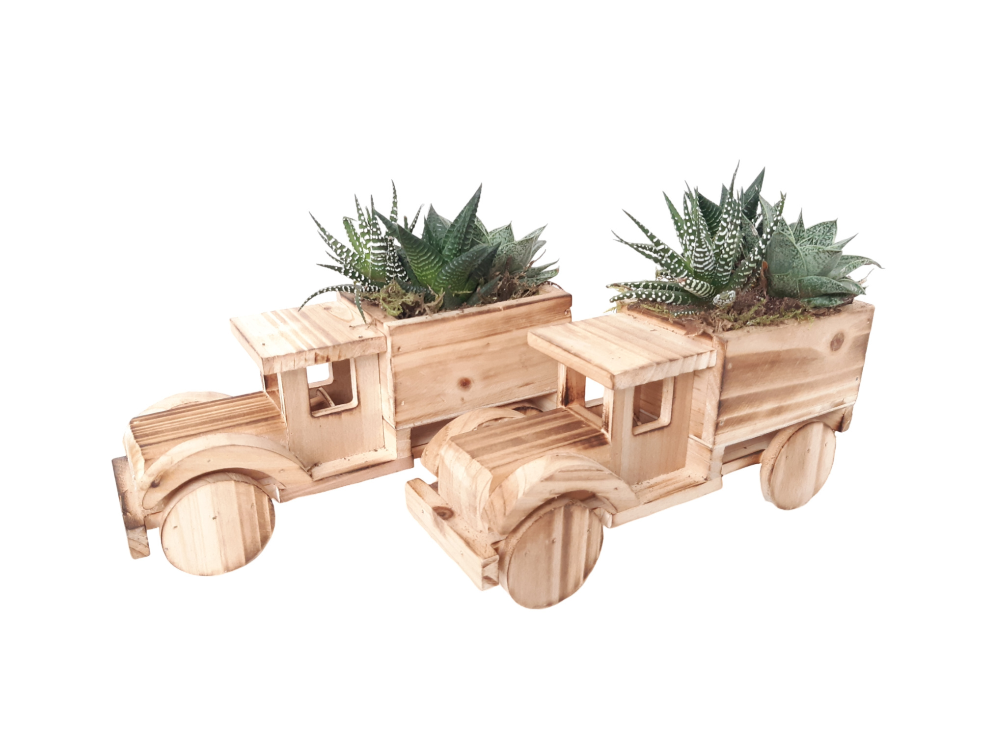 HT22VRSUC Houten Vrachtwagen 22cm Succulentmix, D 22 cm