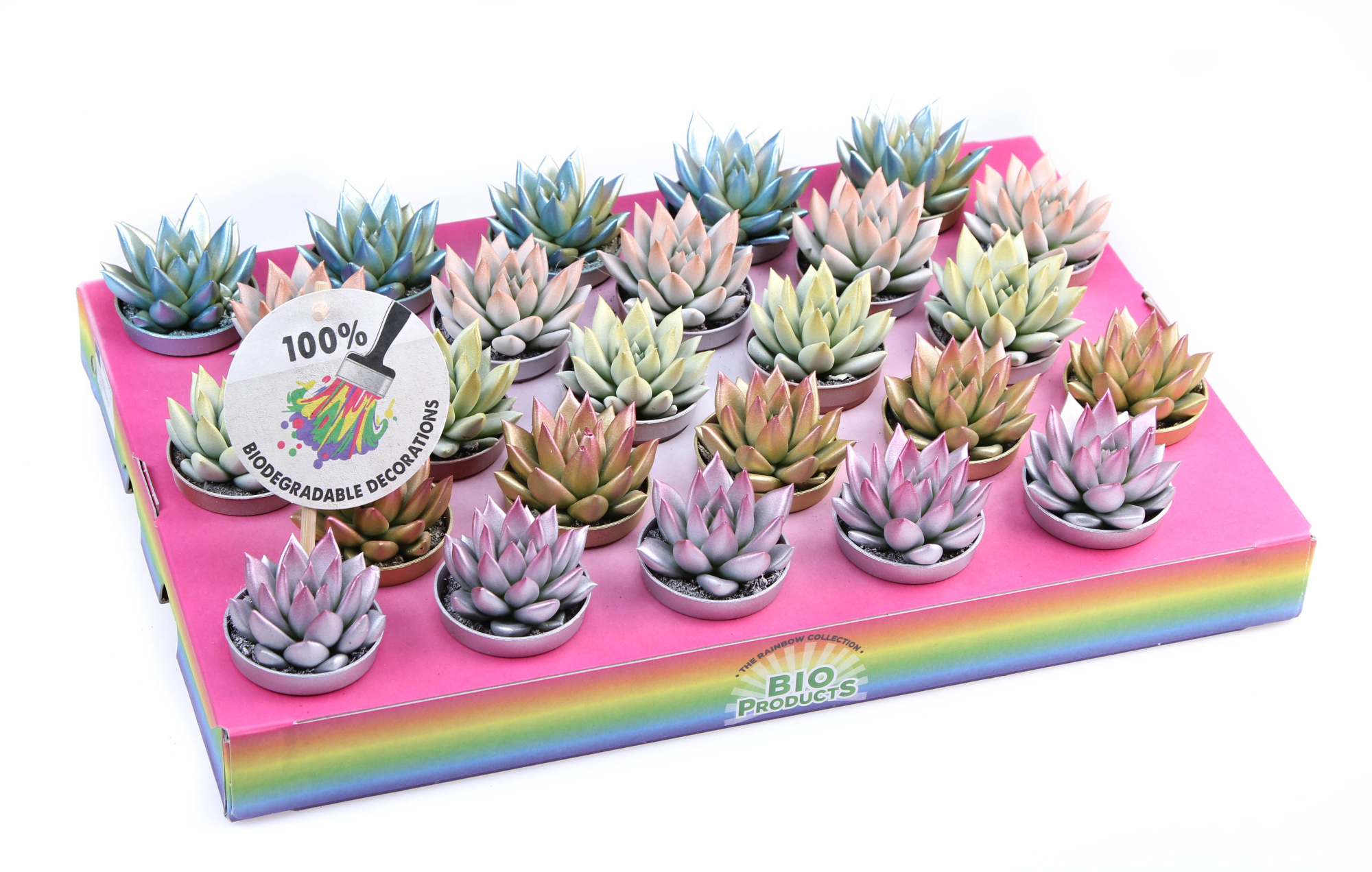 2 colors kerstmix, D 5,5