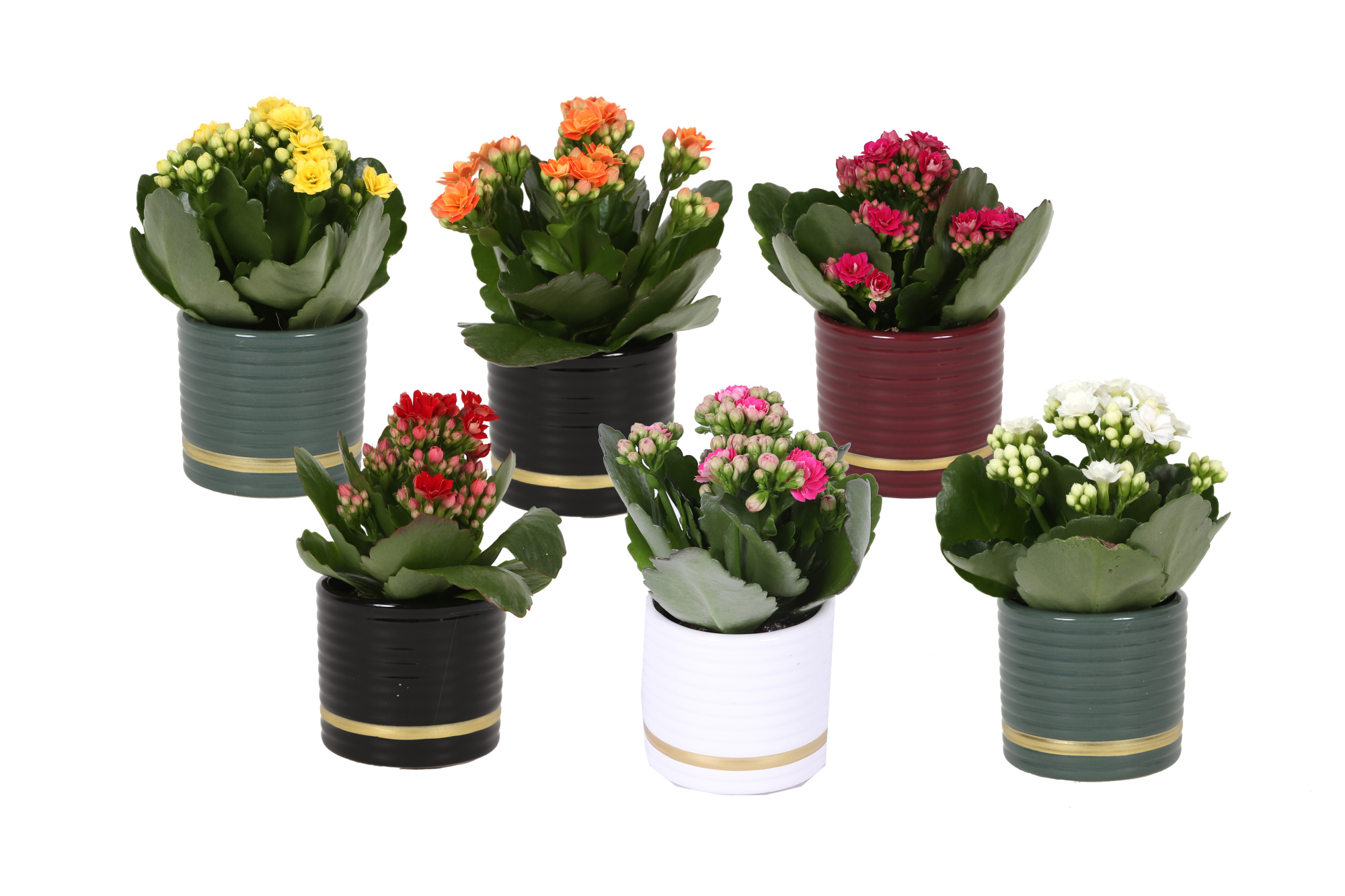 KP-871.1 - Rosalina 6cm in luxe cilinder keramiek, D 6