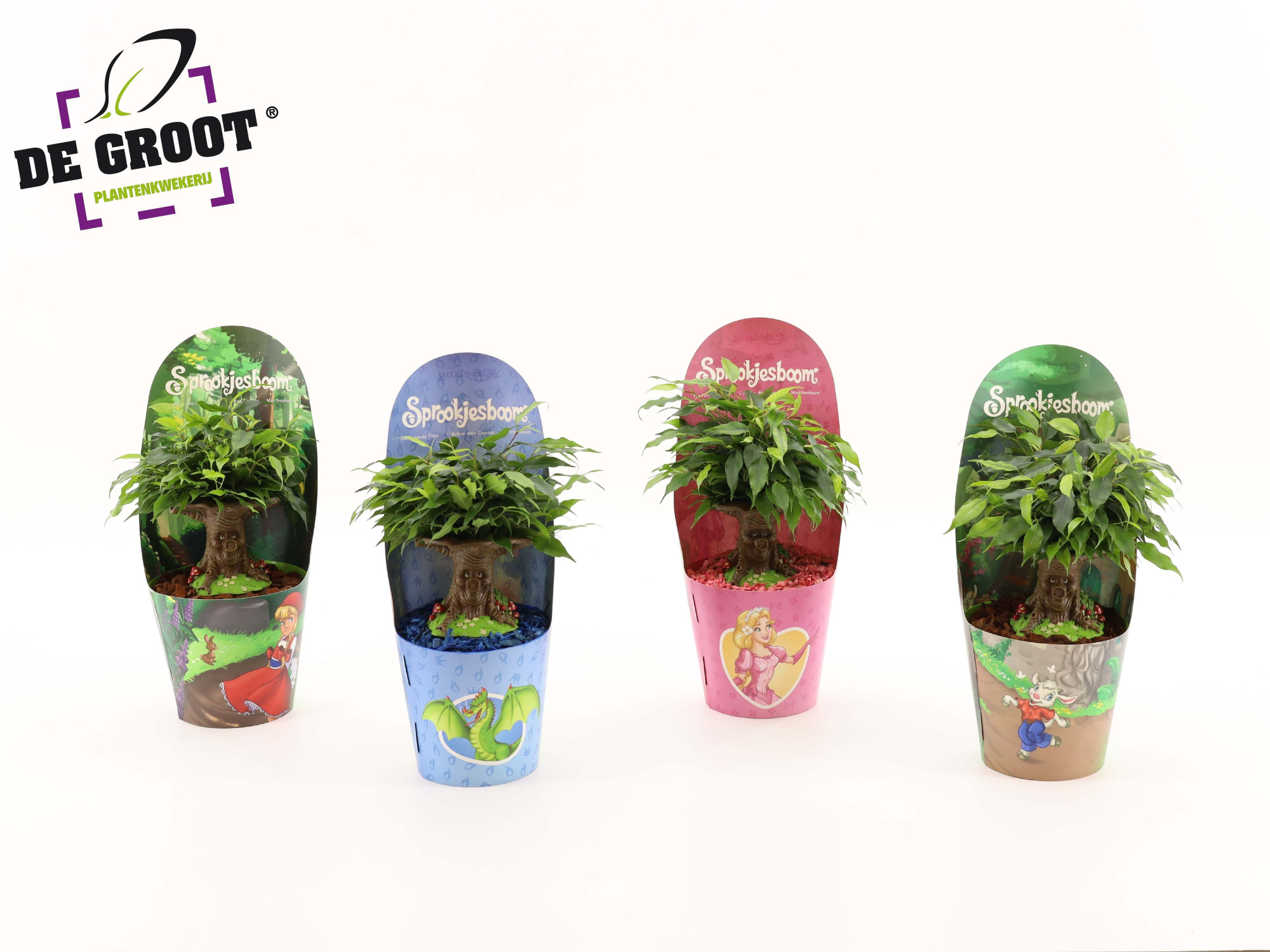 Sprookjesboom mix NL, D 14