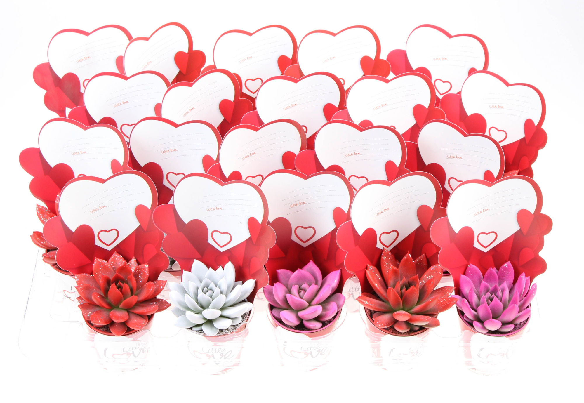 Potcover little love Miranda rainbow + glitter, D 5,5 cm