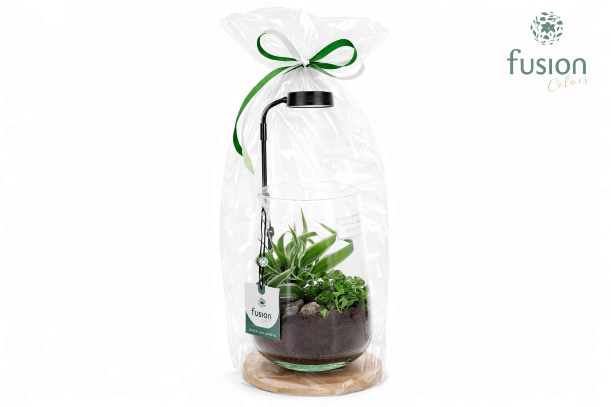 Bamboe plateau met LED licht lamp en vaas en Groen planten in Klaphoes, D 15