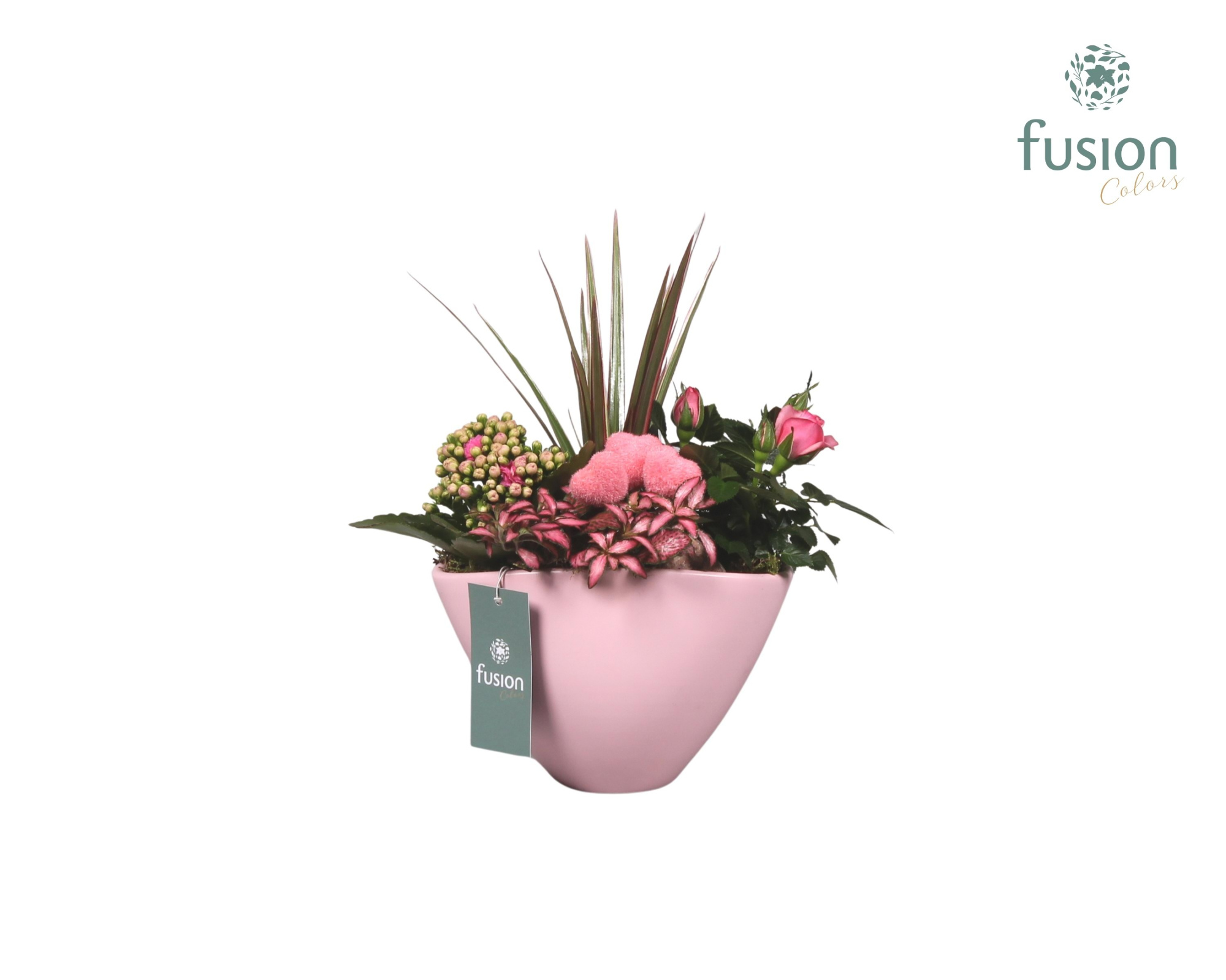 Keramiek pot ovaal roze met lovearrangement, D 18