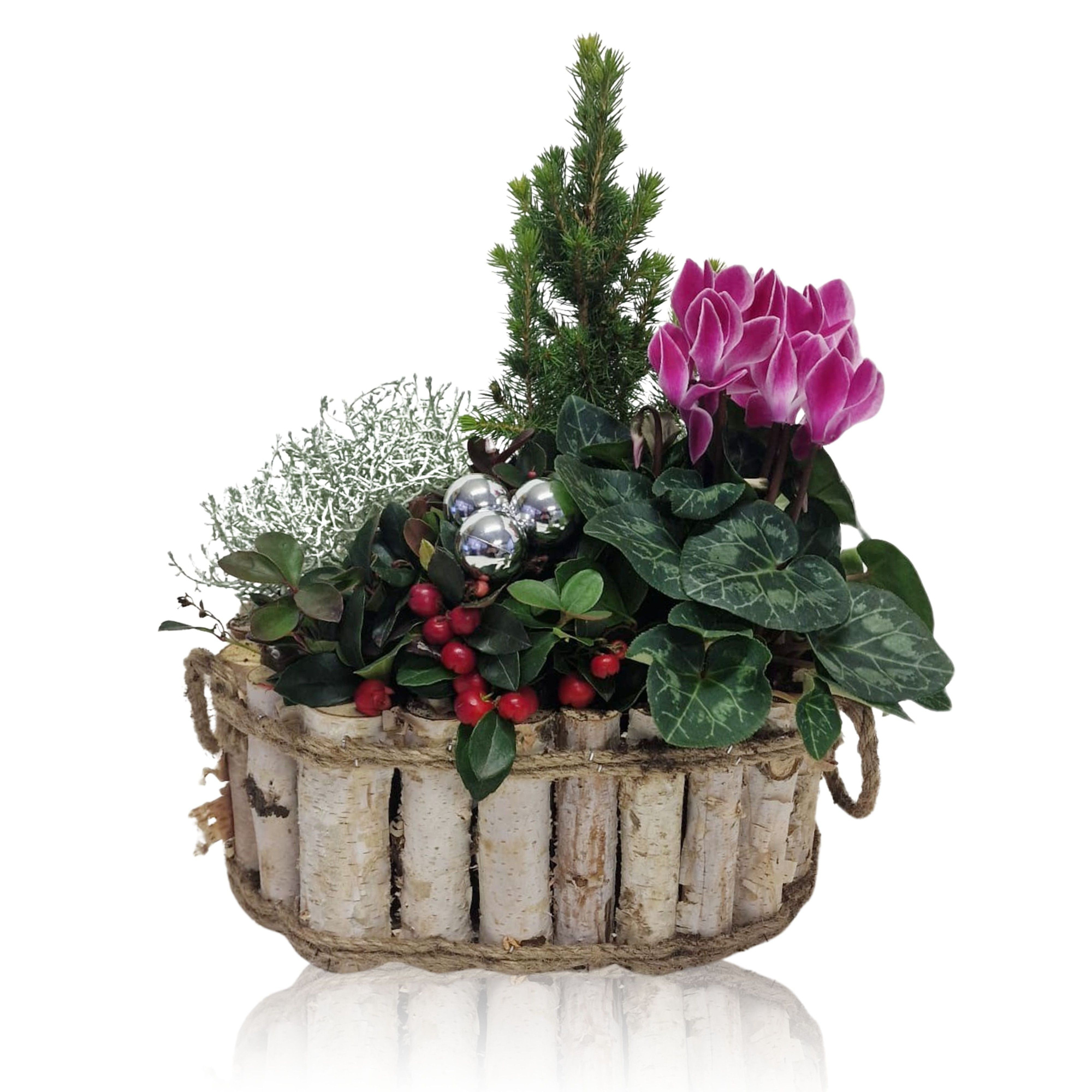 Collectie Anna Winter Specials Arrangement in Houten Bak Ovaal 28 cm, D 28