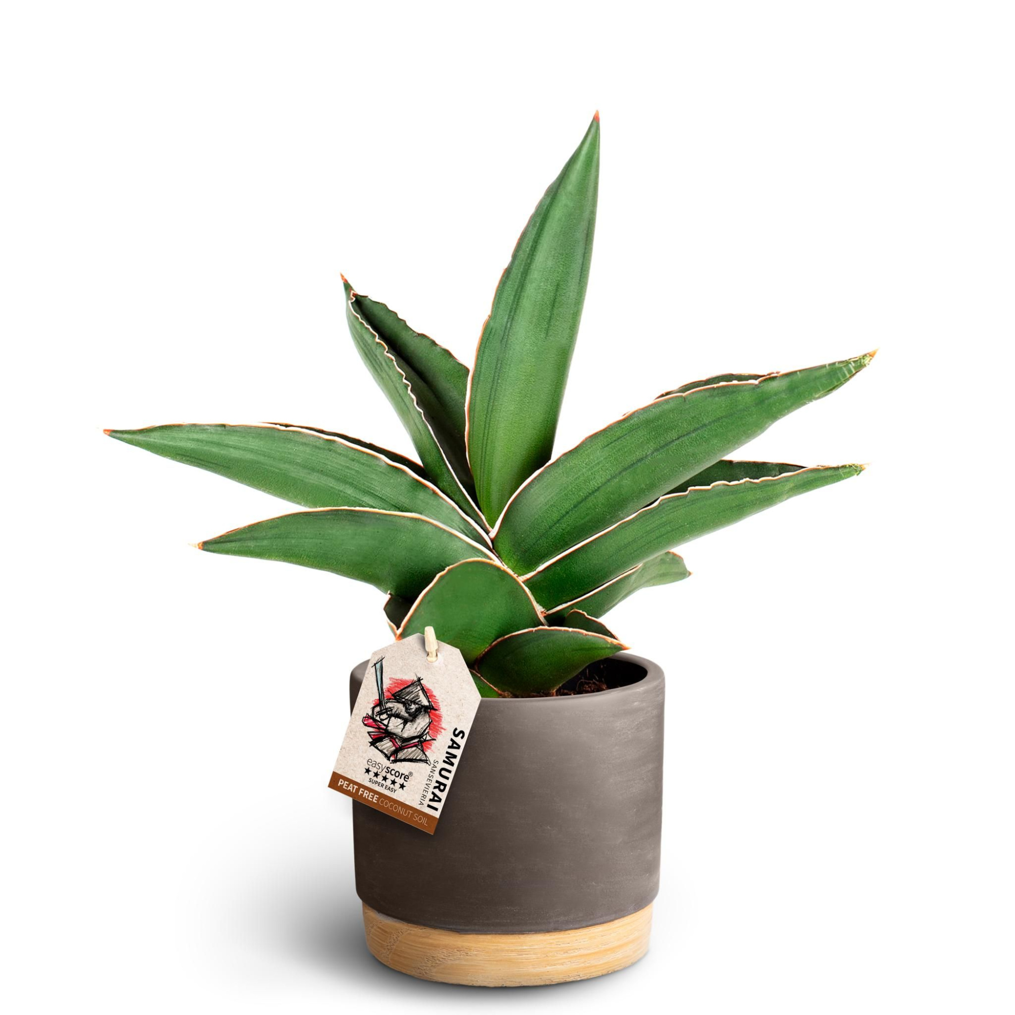 Woodbase Mocca Samurai 11 cm, D 12 cm