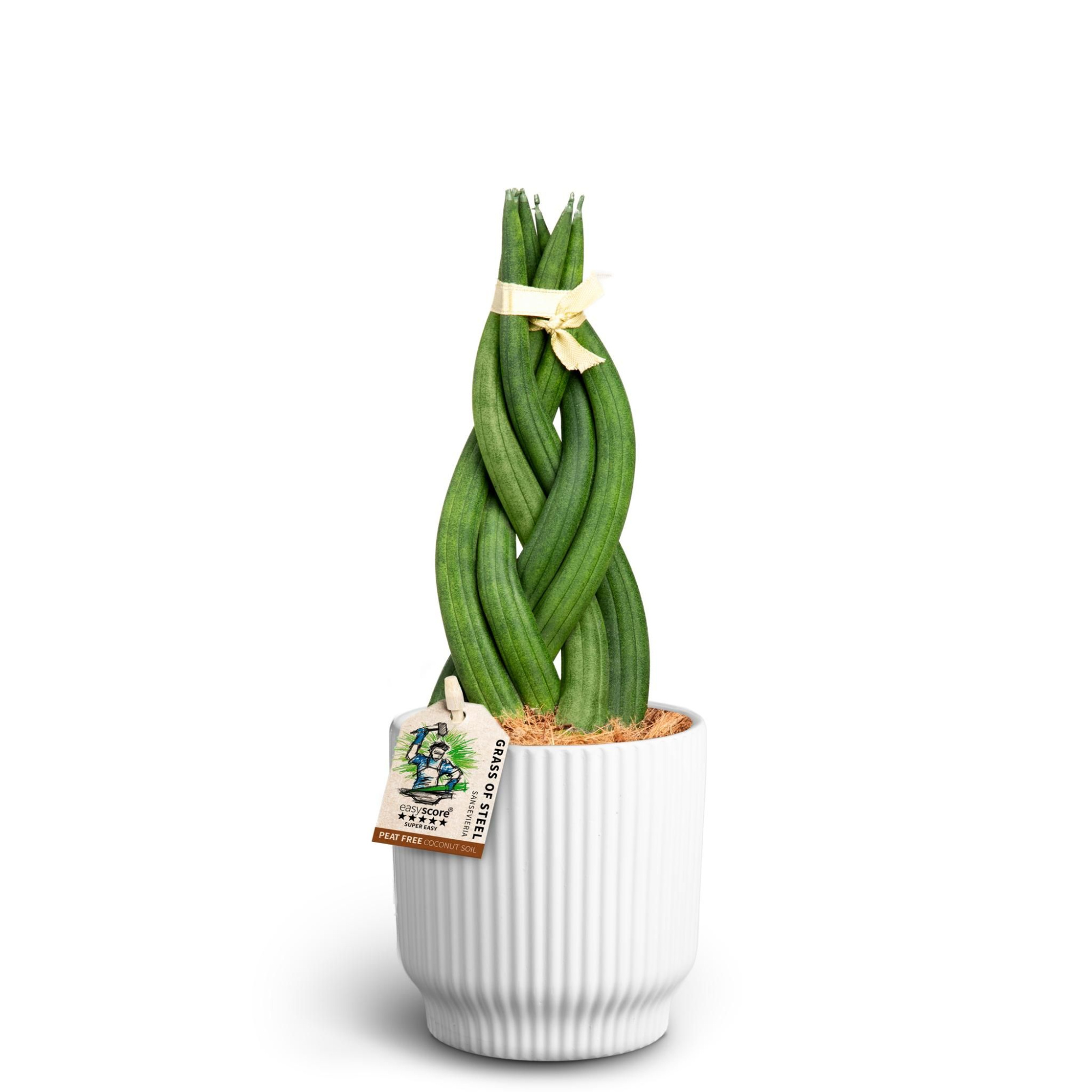 Nordic White, Braid, D 10 cm