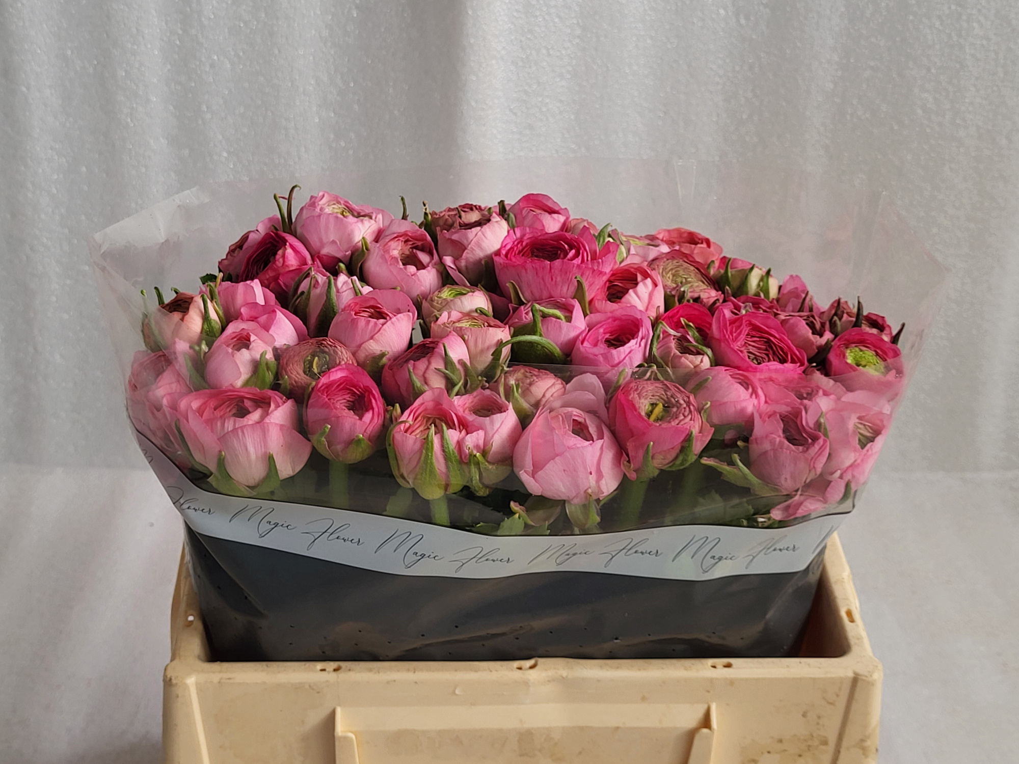 Ранункулус Амандин Роуз 35, шт.