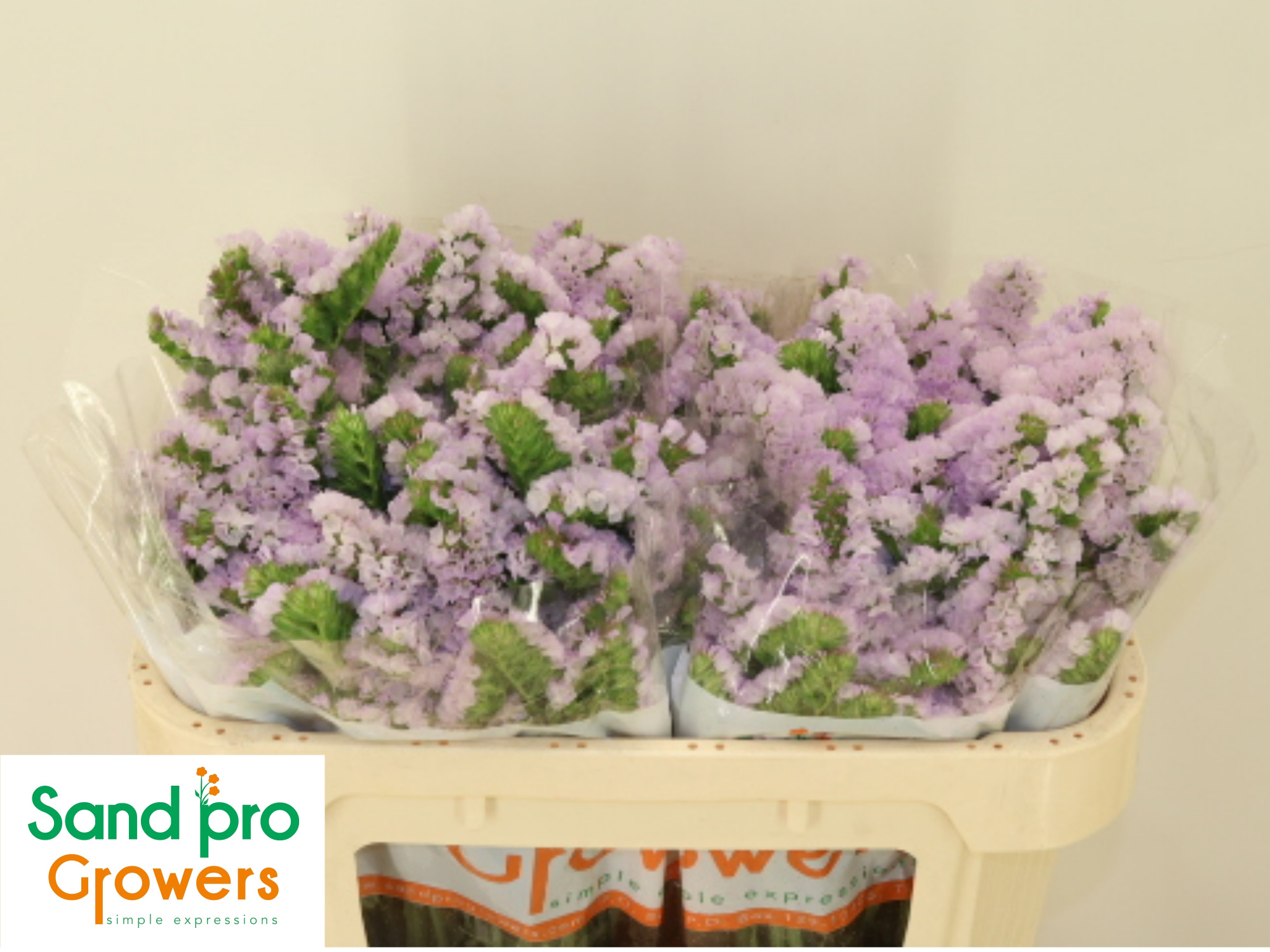 Статица Тесса Лавендер 70, шт.