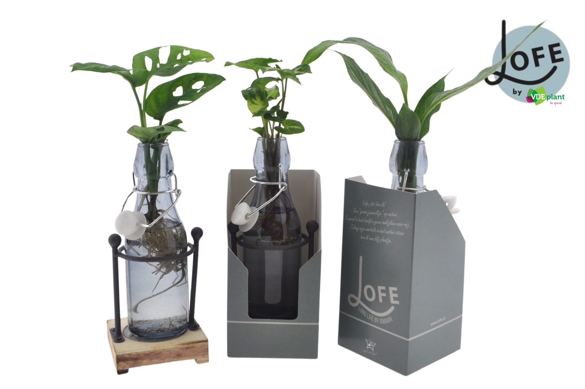 LOFE | Mix in Ann getint glas + metalen houder LED + verpakking, D 7