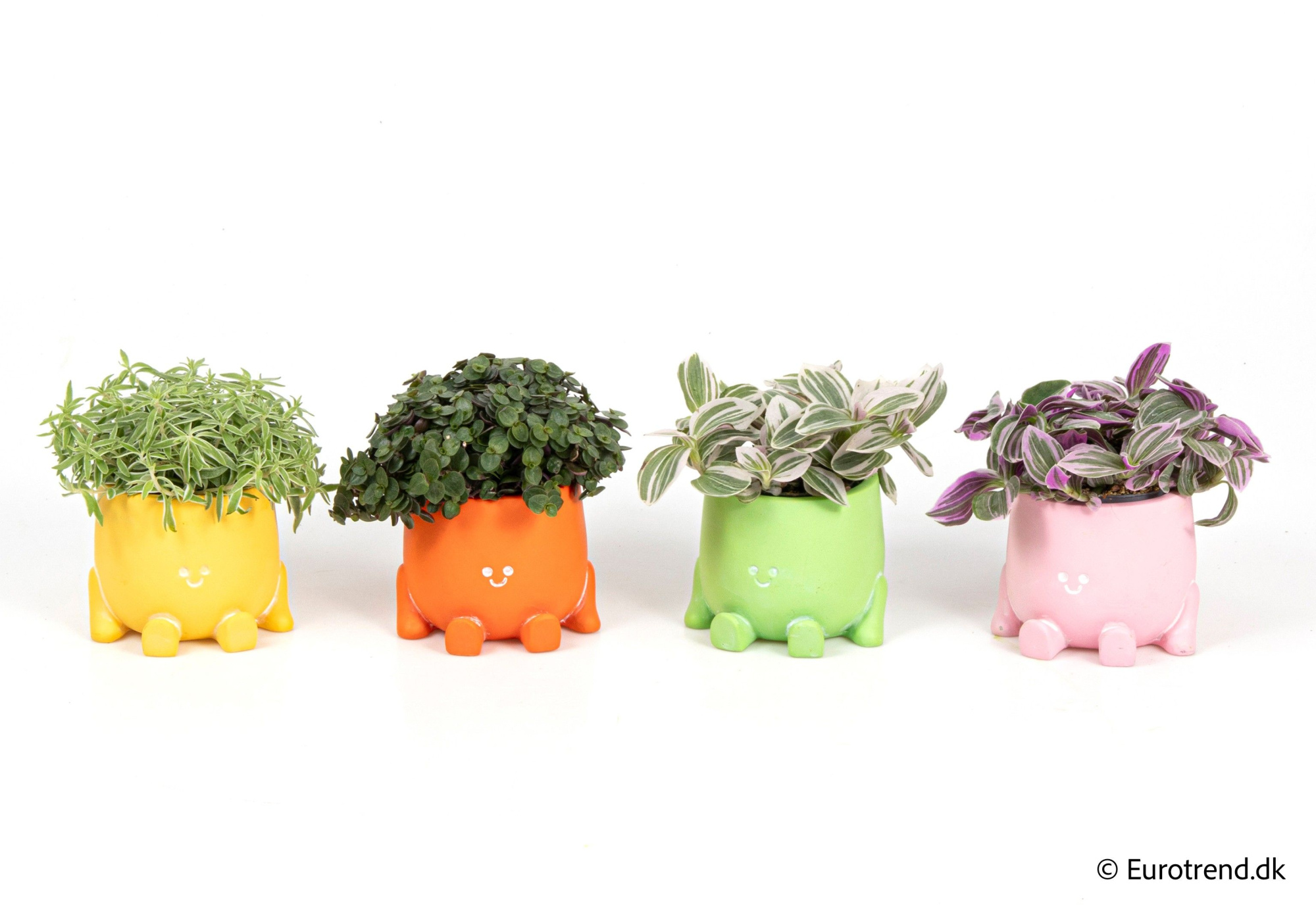 Green mix in ceramic - Spring, Summer & Autumn 2025, D 6 cm