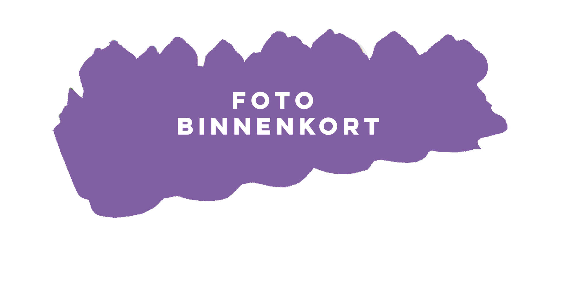 Tulipa Red Hunter, D 9