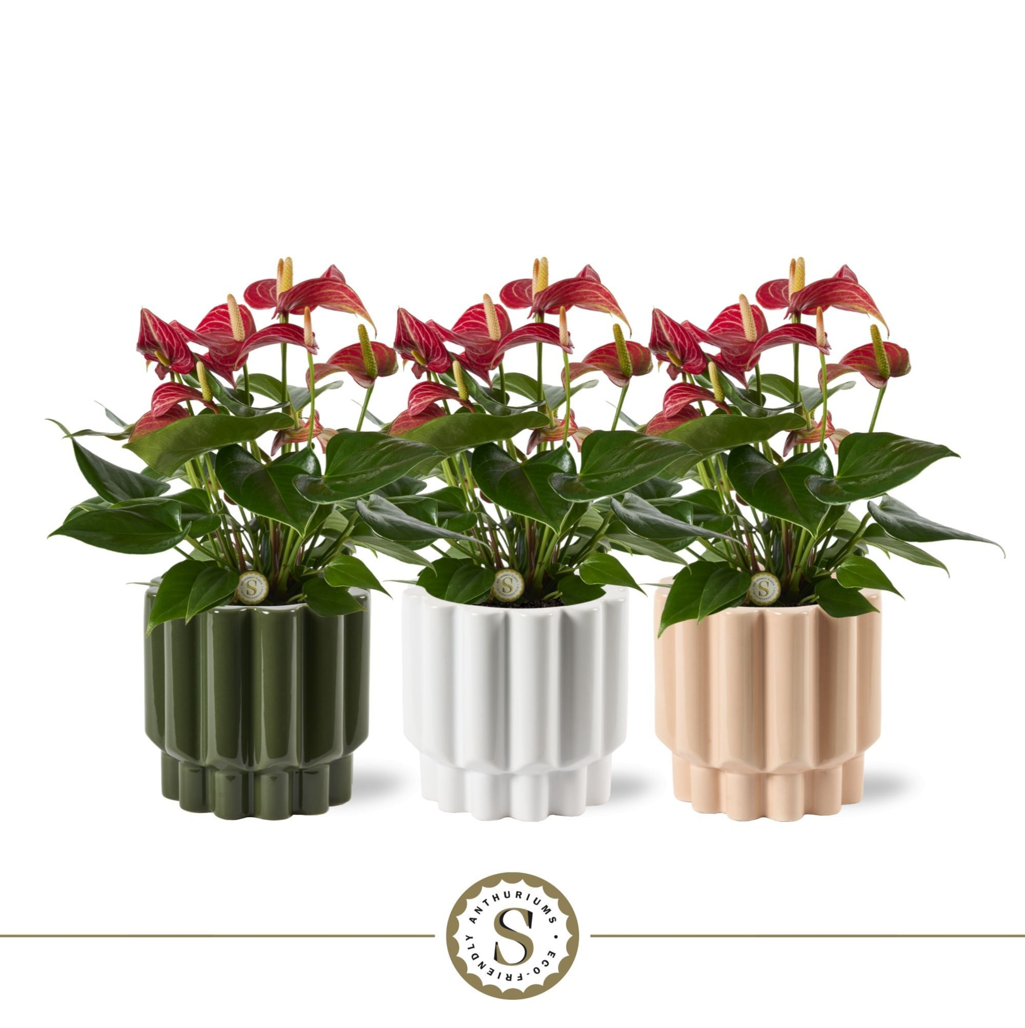 Monza Keramiek Livium, D 12 cm