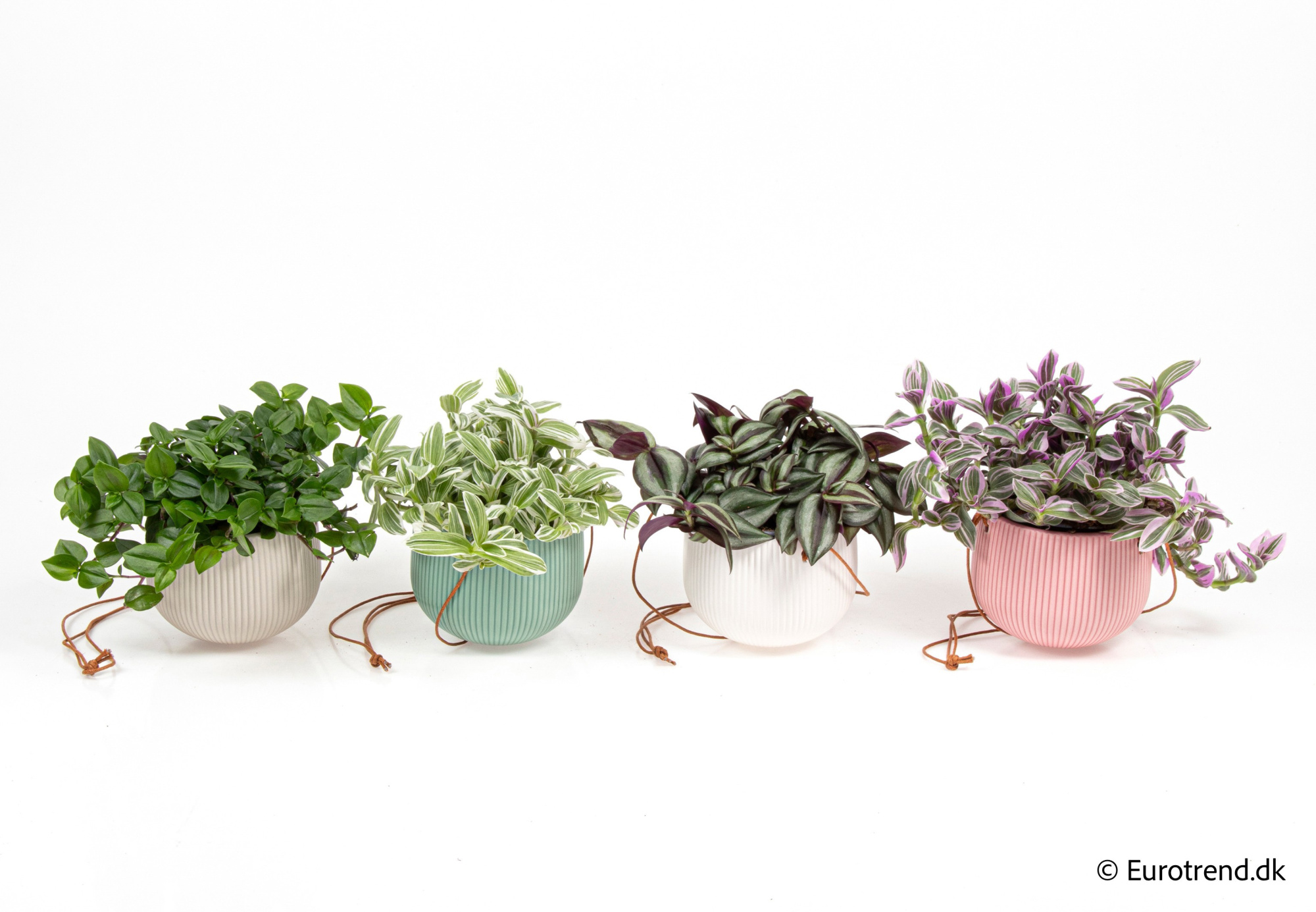 Green mix in New Look ceramic 2026, D 10,5