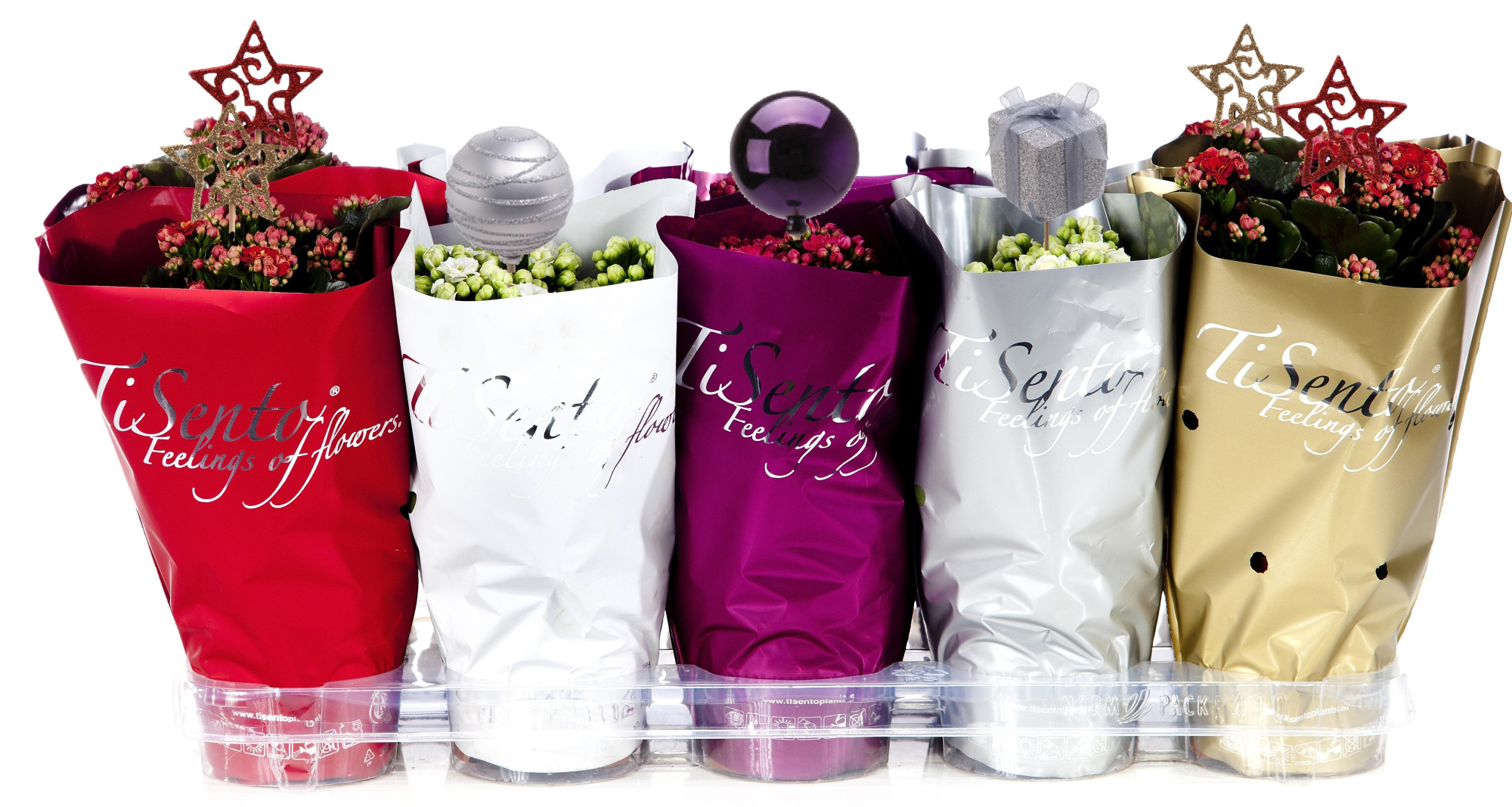 Calandiva Kerstmix + Glitter + Steker, D 12