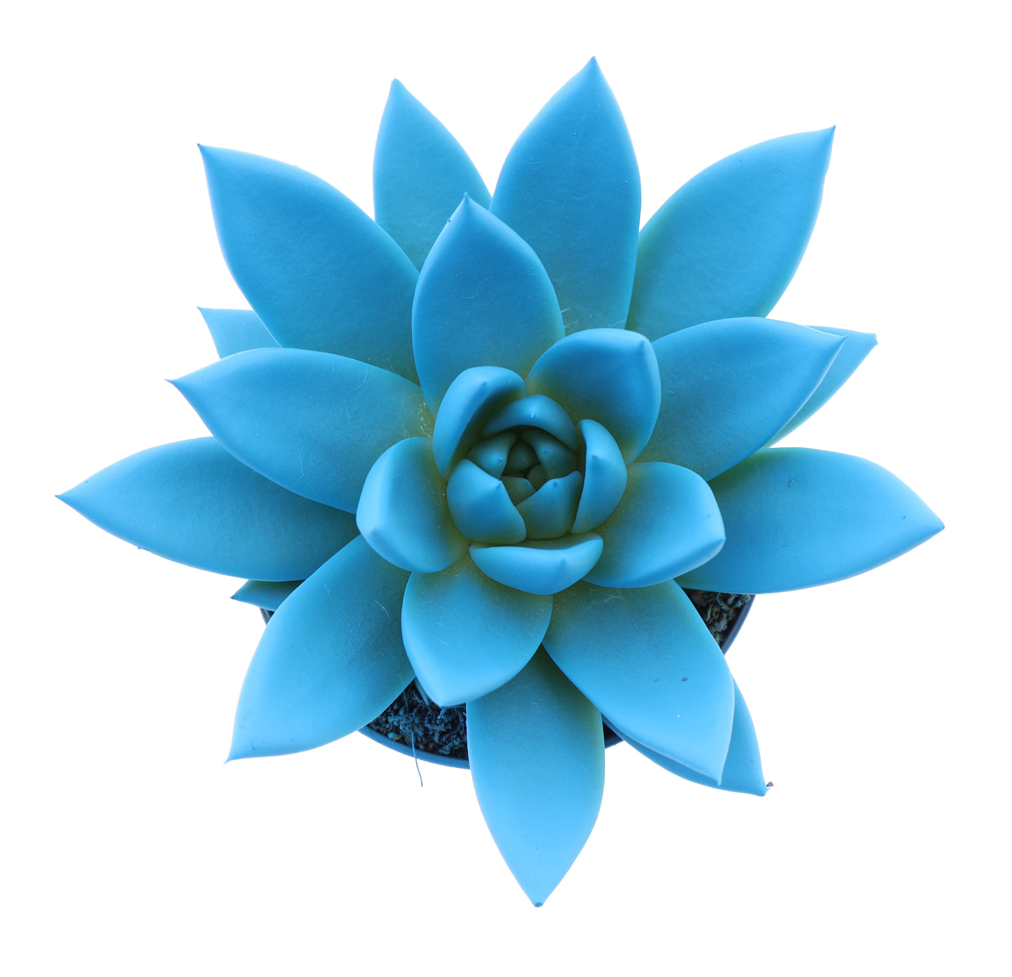 Rainbow sky blue, D 8,5 cm