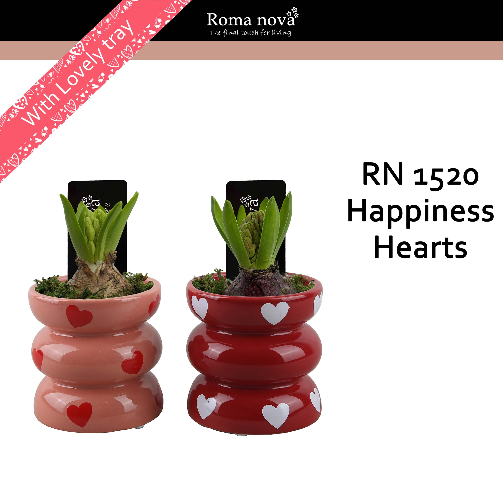 1520 - Happiness Hearts (Hyacint), D 9