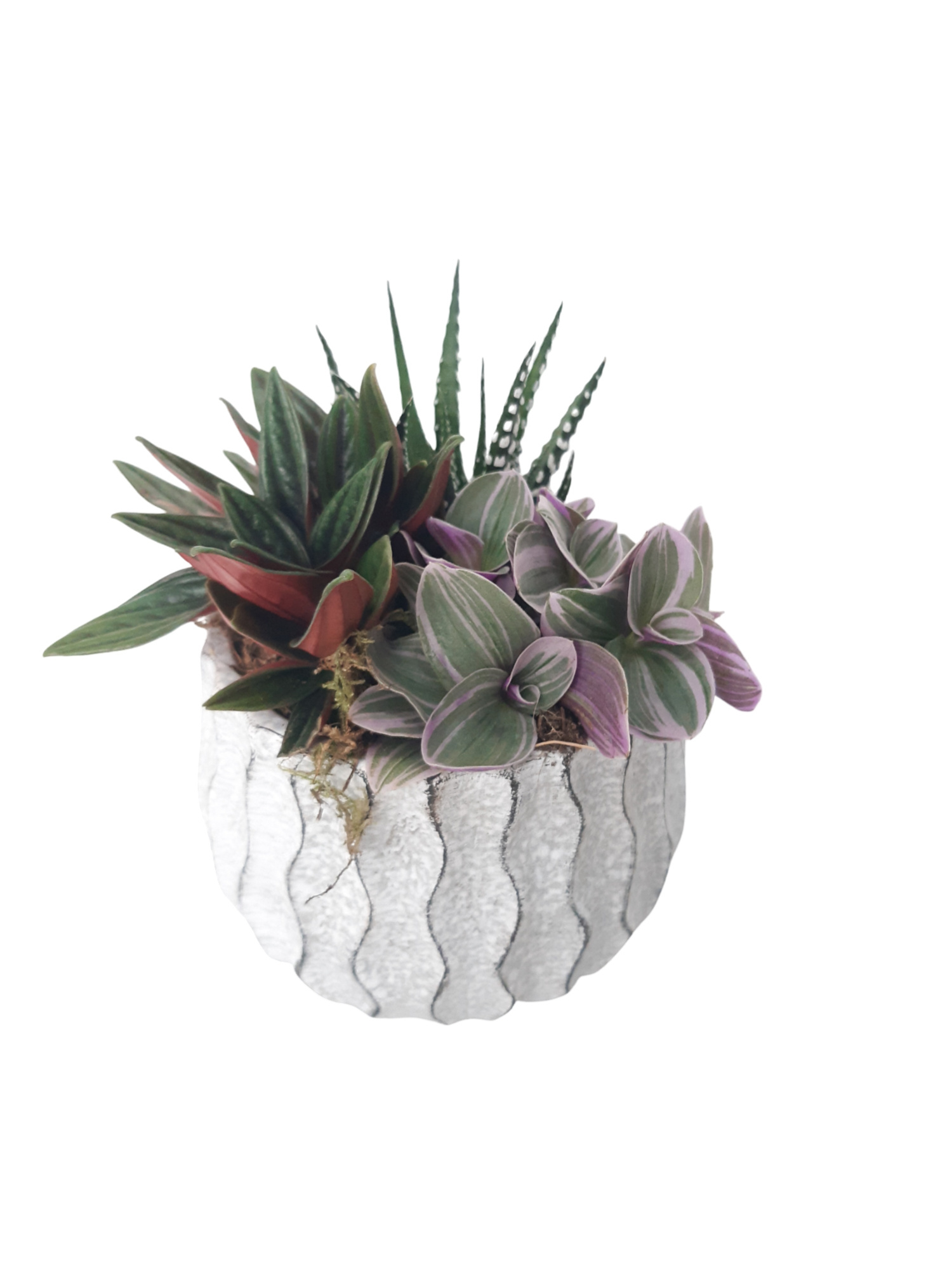 WP12HMX Wave Pot Cement 12cm mini groenmix, D 12 cm